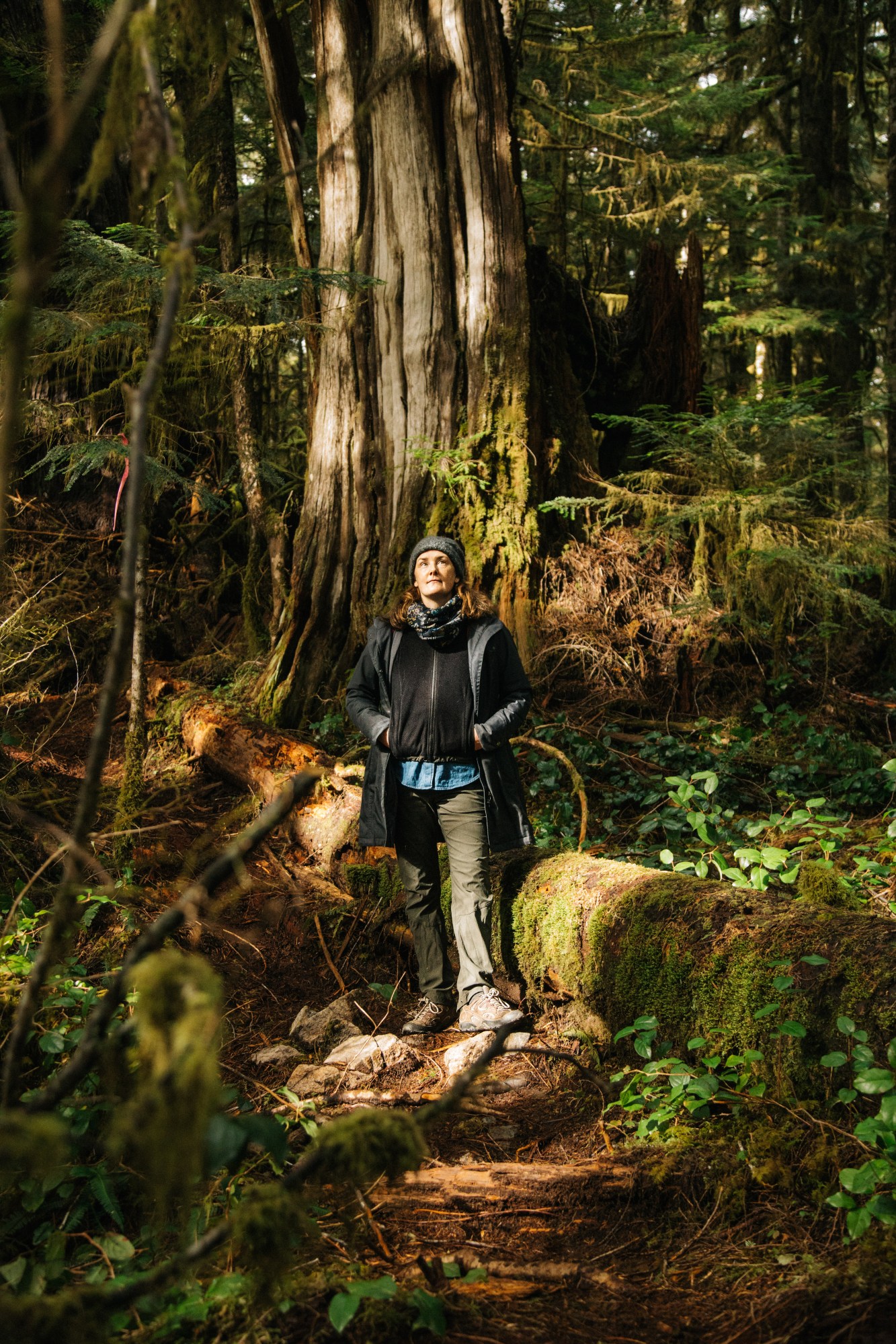 a woman stands looking up at trees in an ancient cedar forest