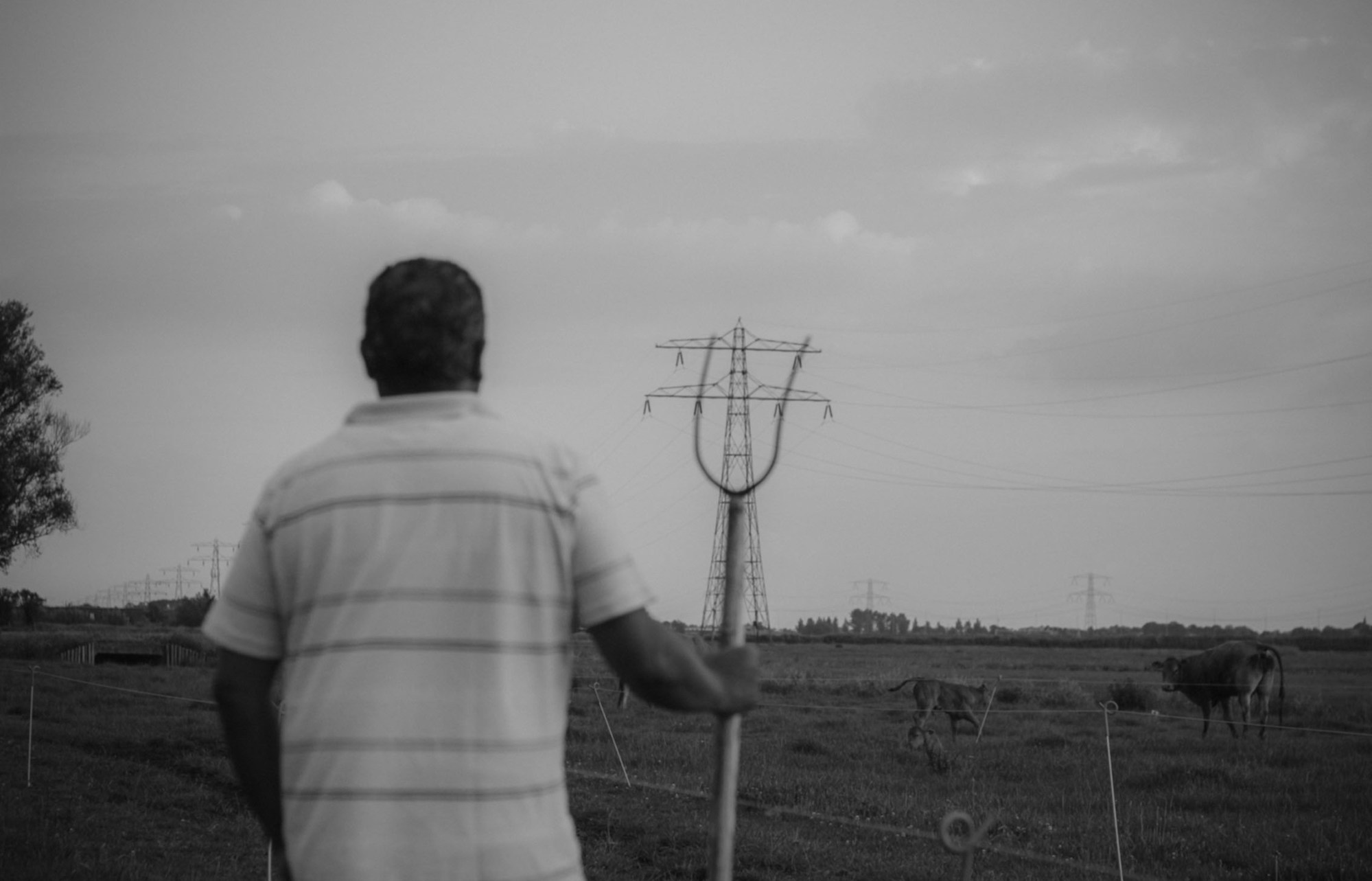 A black-and-white photo of a man looking over a flat farm with a pylon in the centre of the frame