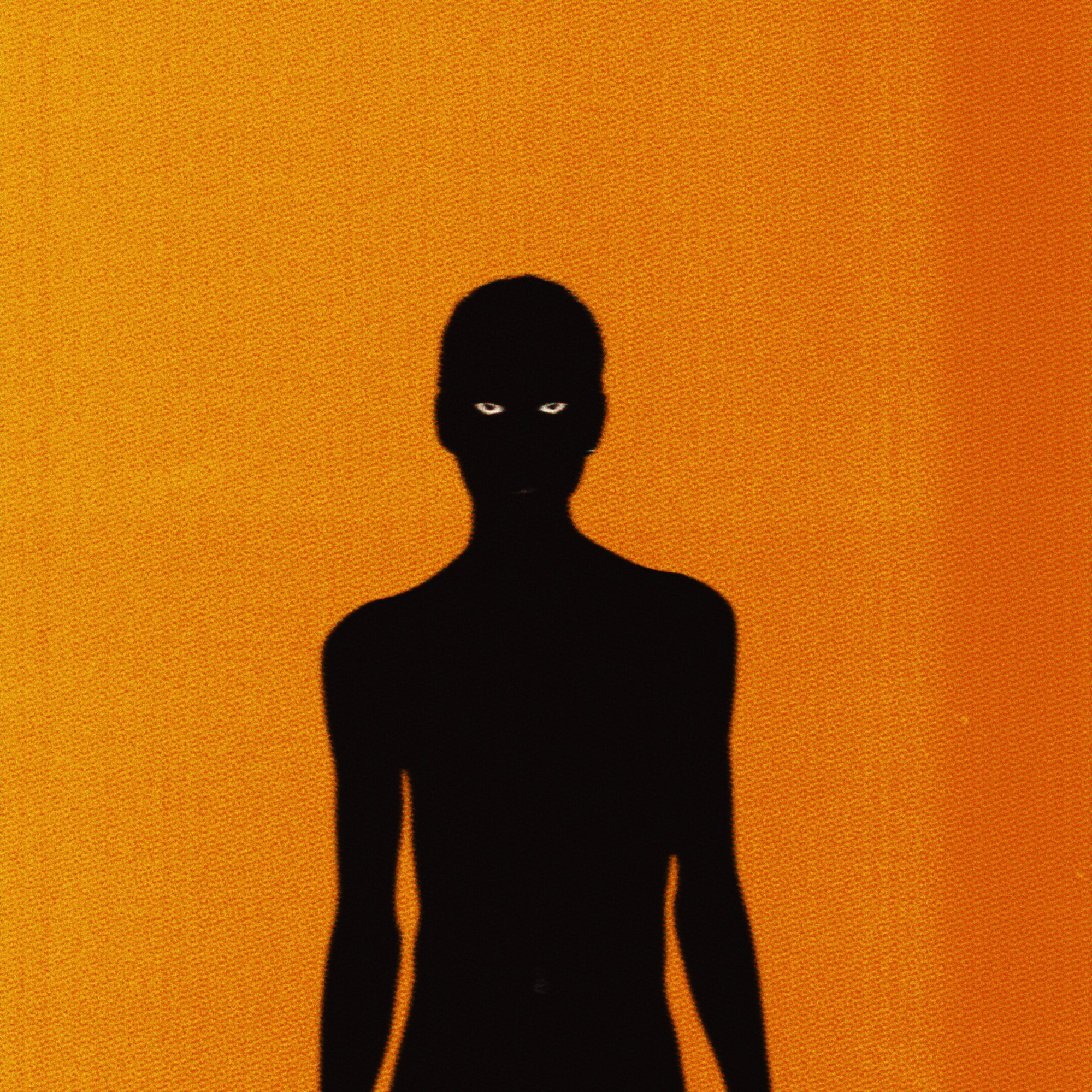 a dark silhouette against an orange backdrop