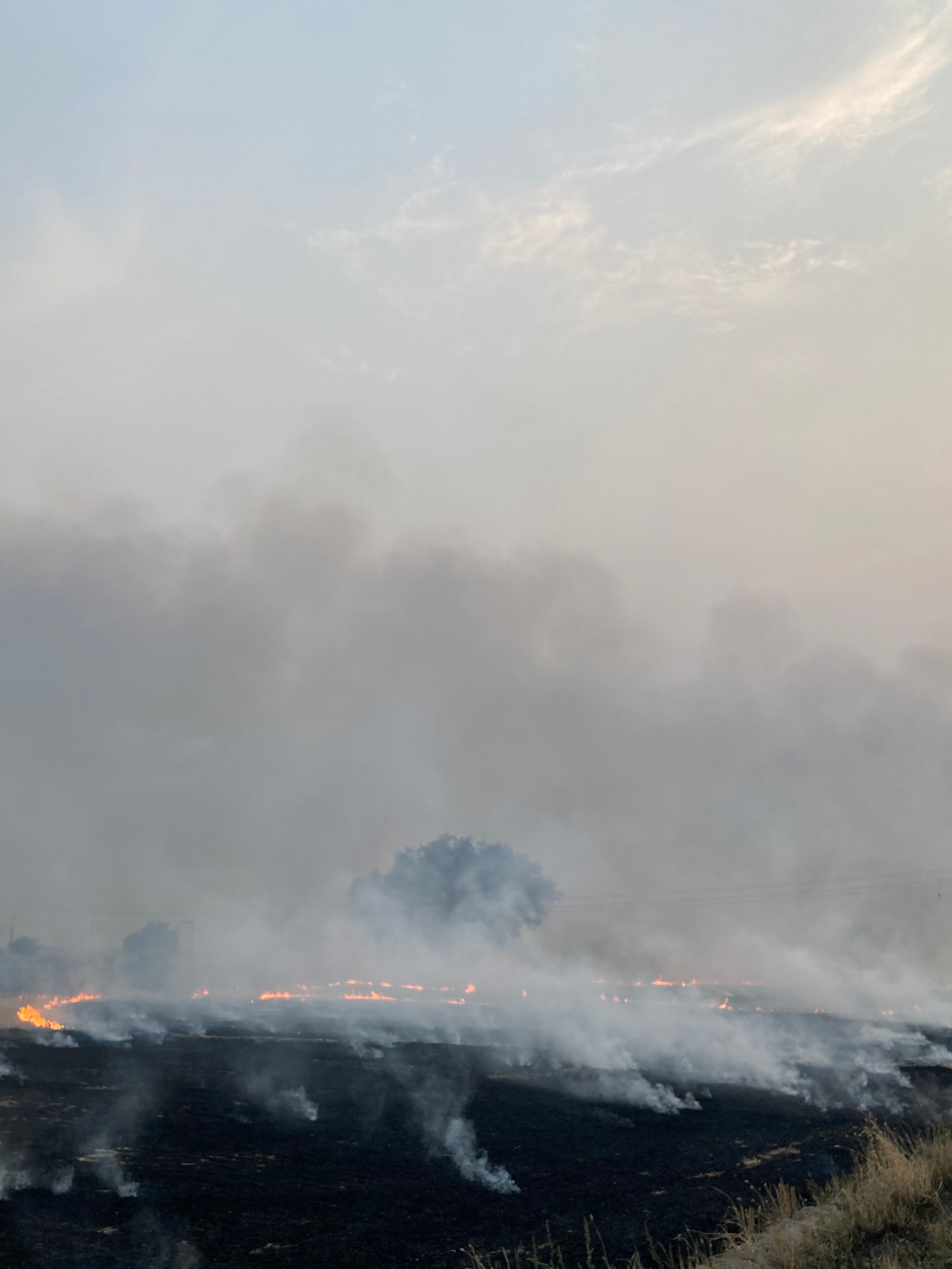 a smoking field in punjab india, caused by burning crops