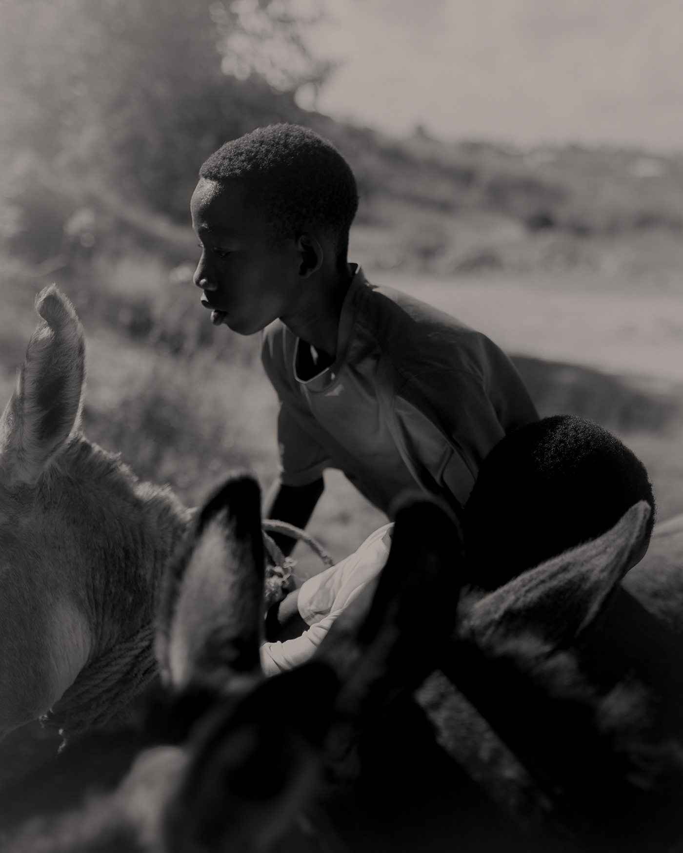 a young boy rides a horse