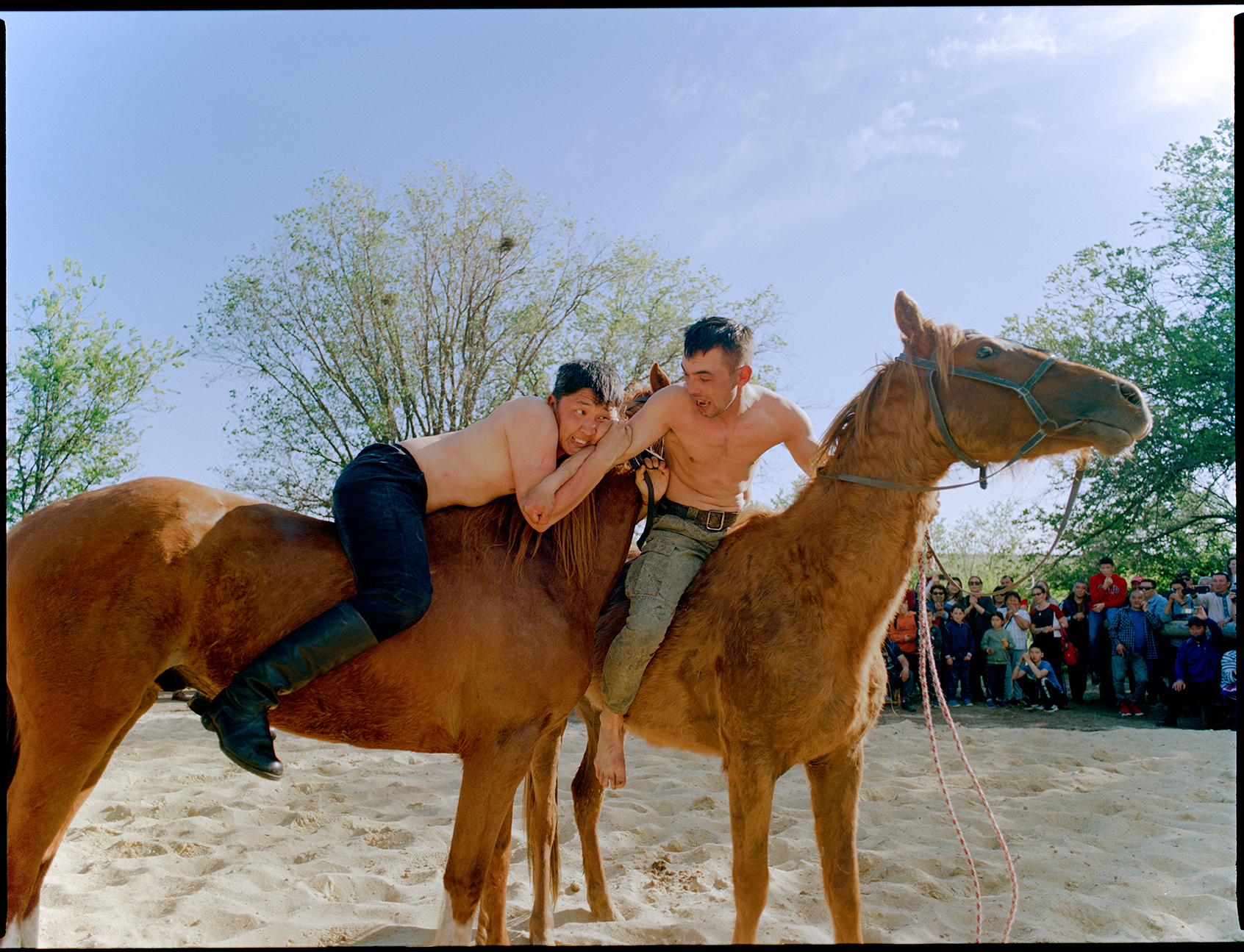 two topless men wrestling on top of horses