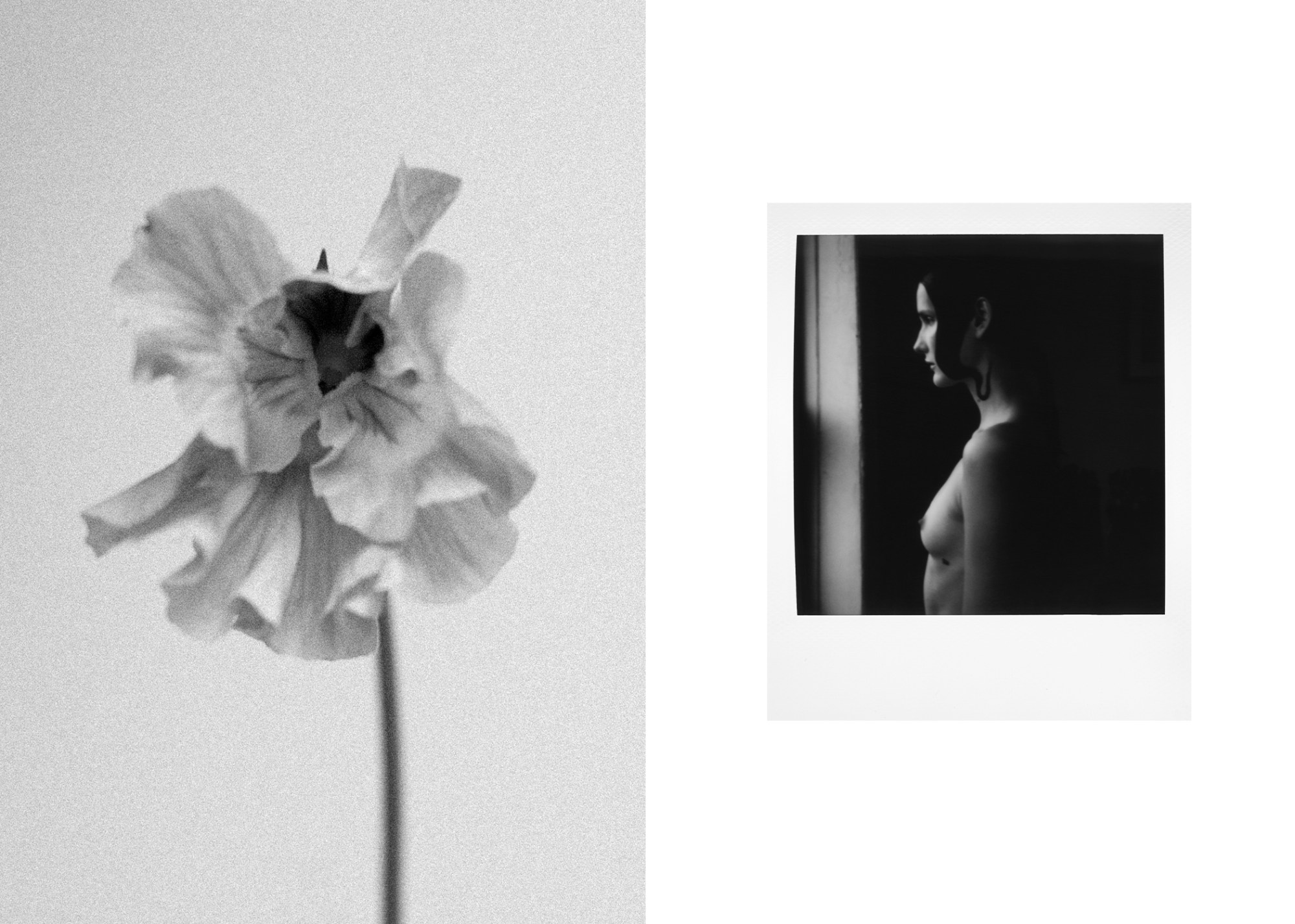 Black and white images of a flower and a polaroid of a nude model in shadow