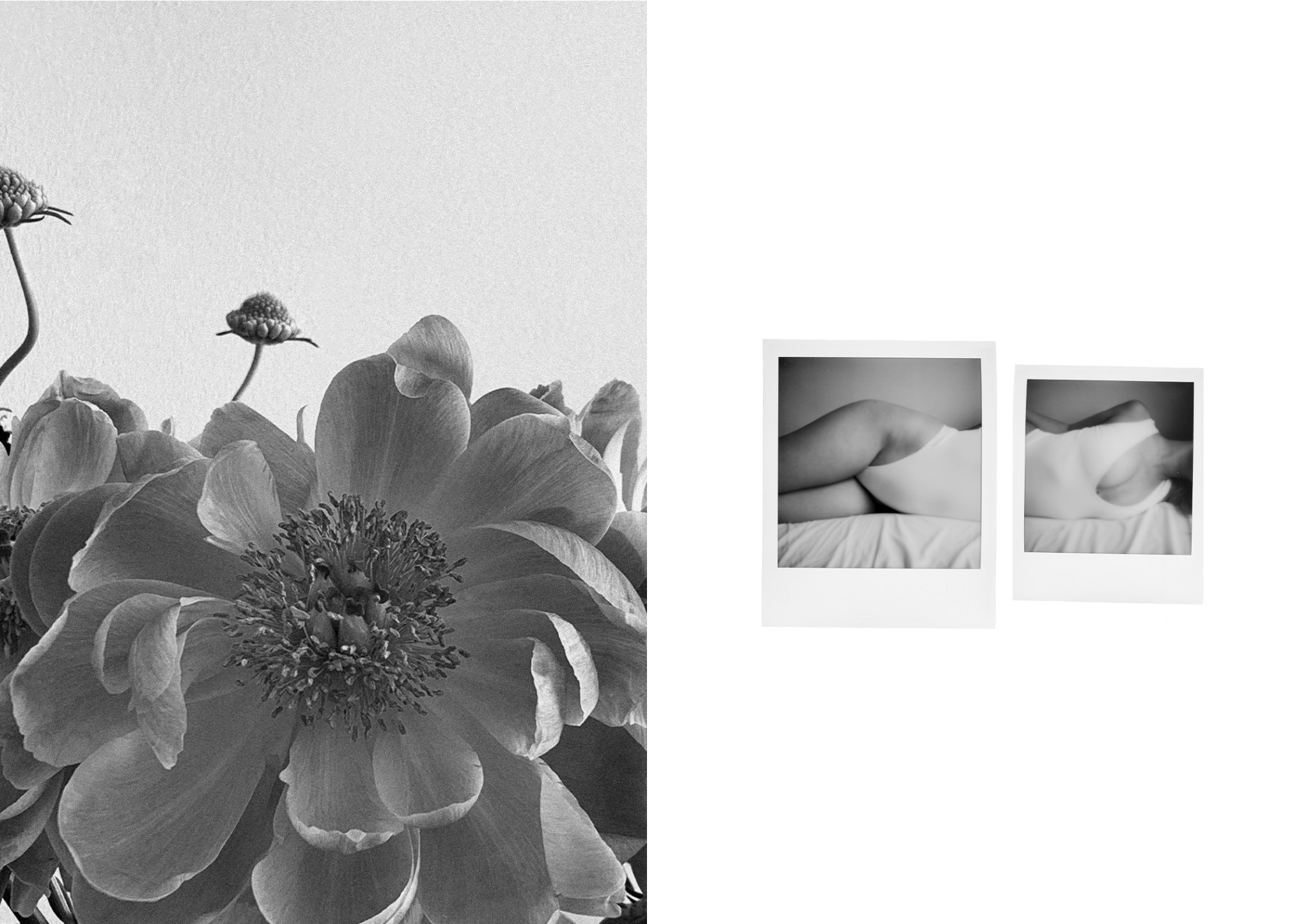 Black and white images of a flower and two polaroids of a model reclining