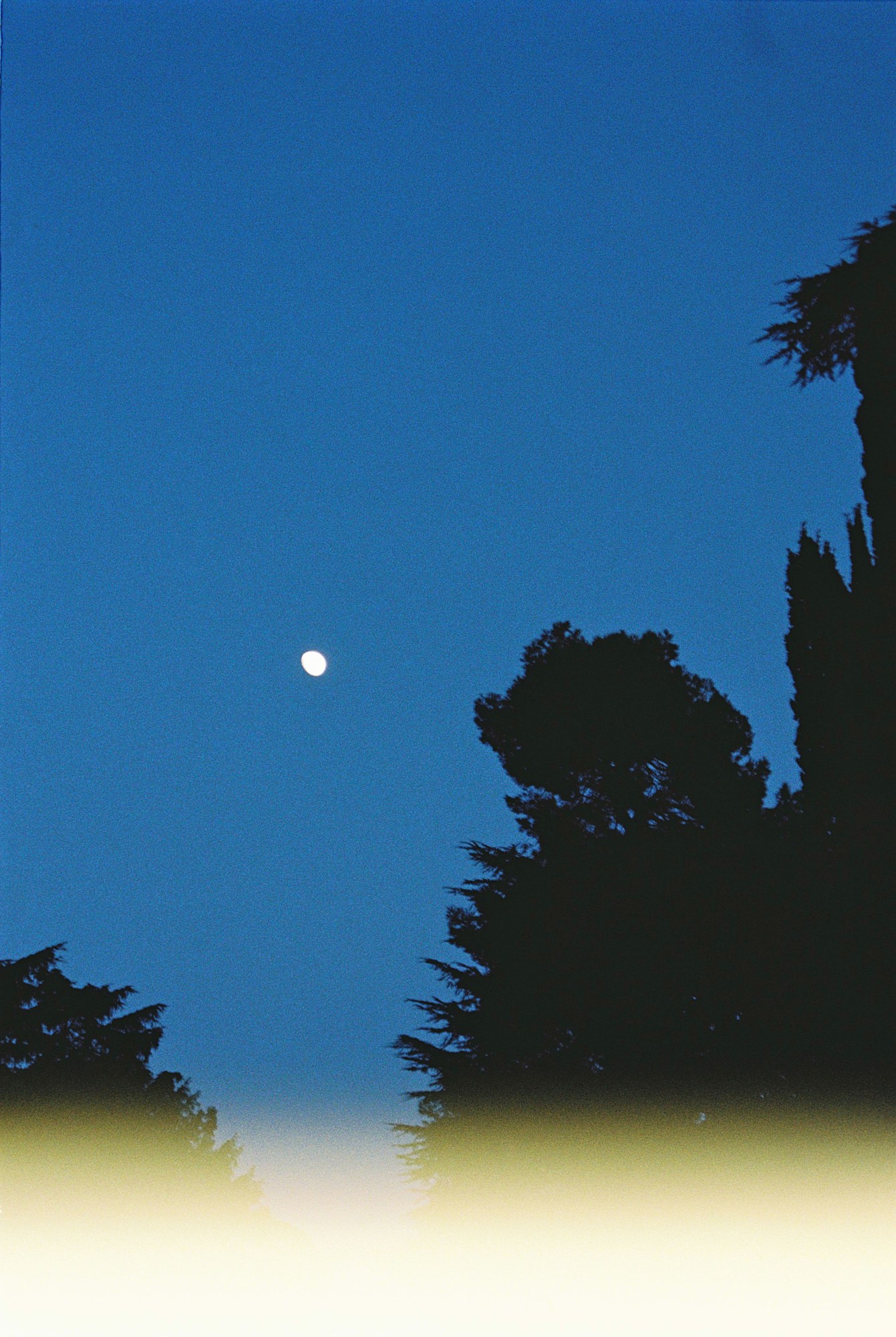 the moon above the silhouettes of trees