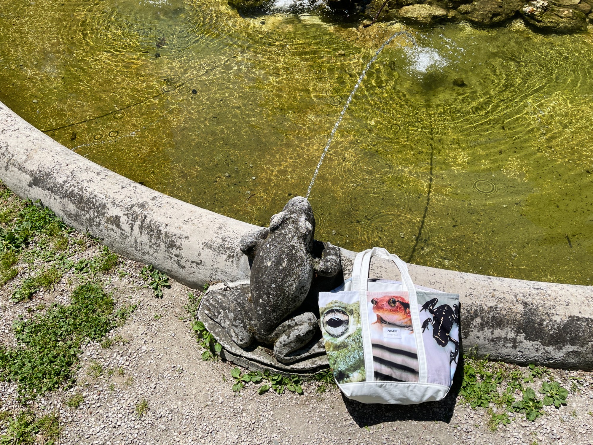 a statue of a frog spurting water into a fountain next to a bag with frogs on it