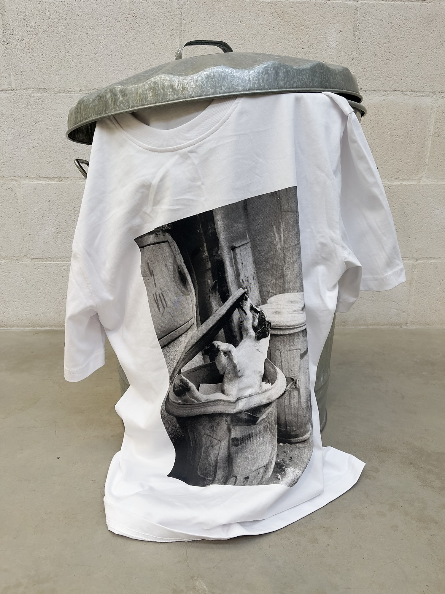 a t-shirt of a dog in a big, rest against a bin