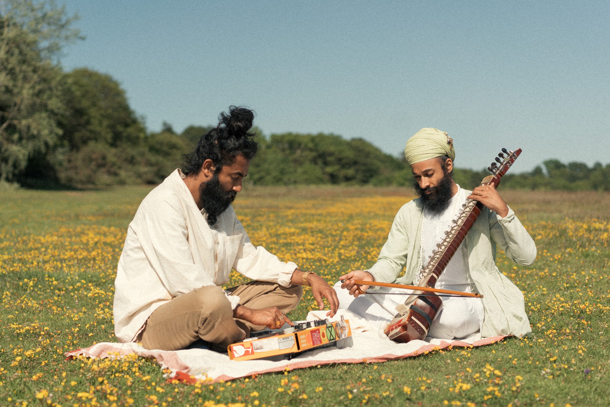 two bearded men sit playing instruments in a field of yellow flowers