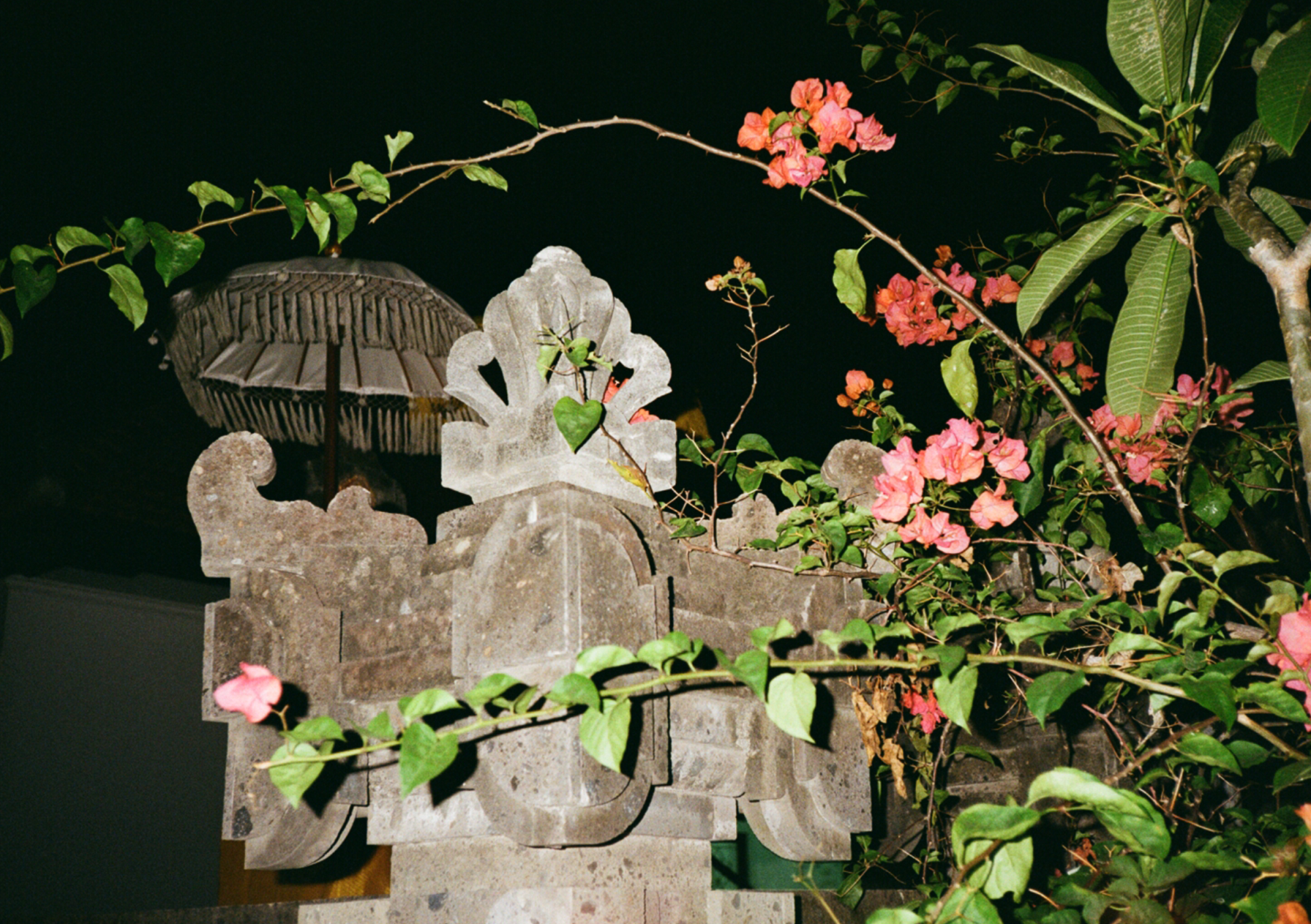 Balinese Flower Display