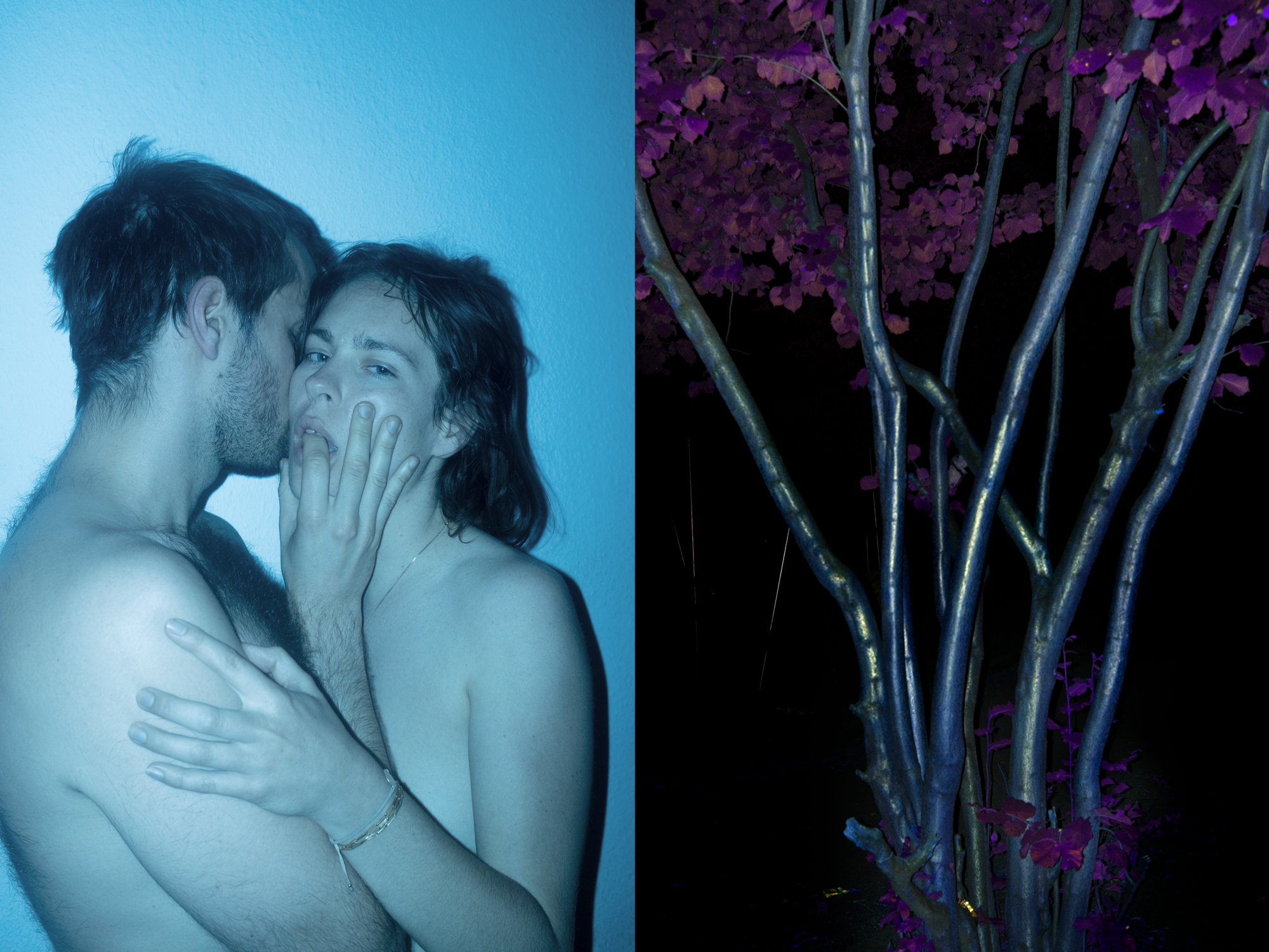 a couple embracing collaged with a photo of trees at night