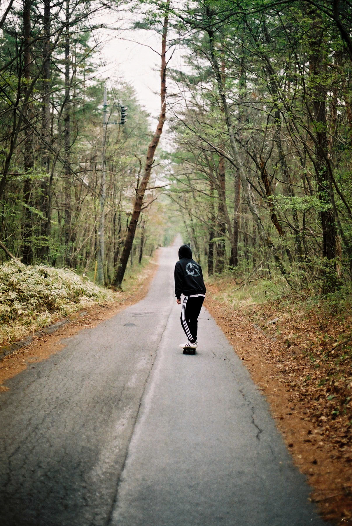 a person skateboarding down an empty road inside a forest