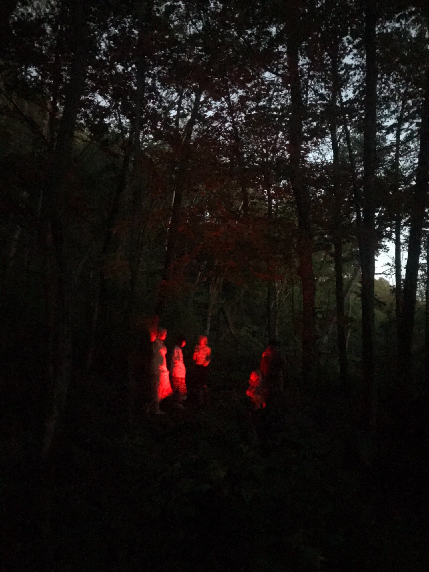 A group of people stand by a red fire in the woods in the early morning.