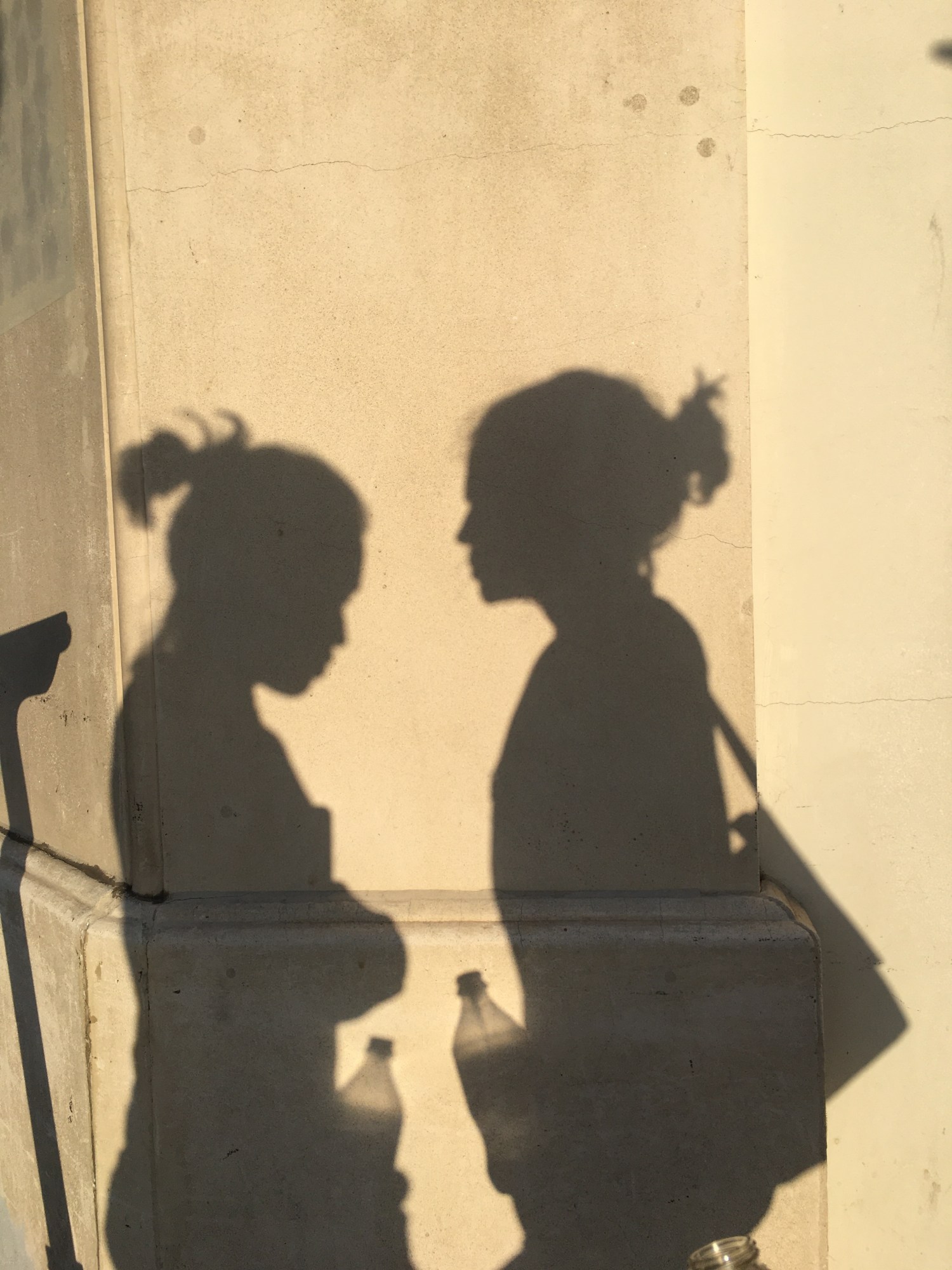 a photograph of two almost identical shadows on a sunny wall