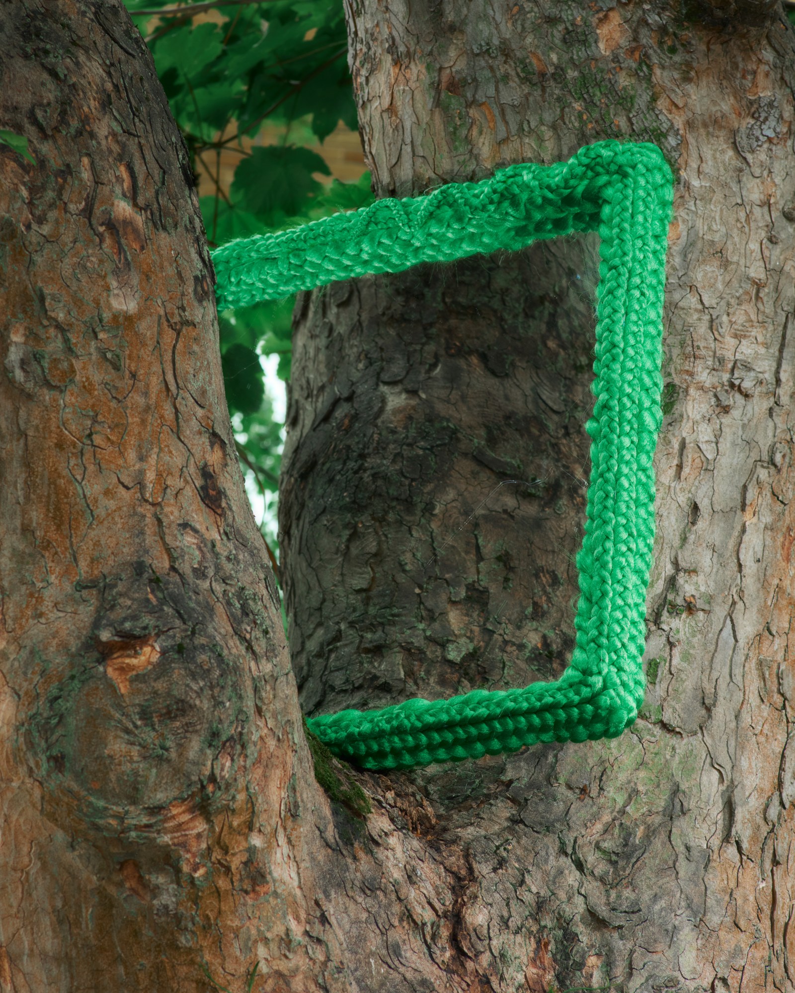 A mirror bordered with green braided hair extensions in a tree