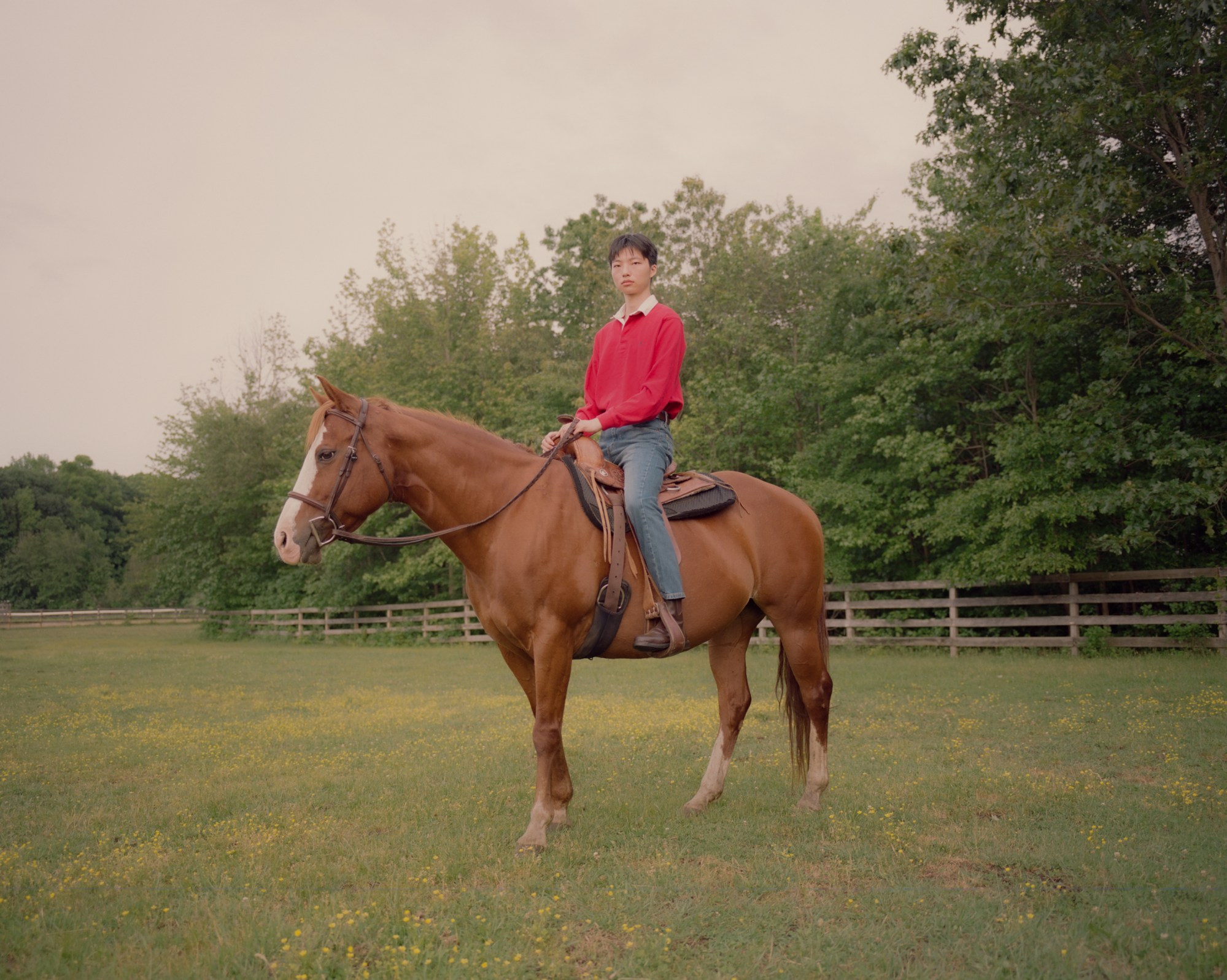 A boy sits on a horse in a green field.