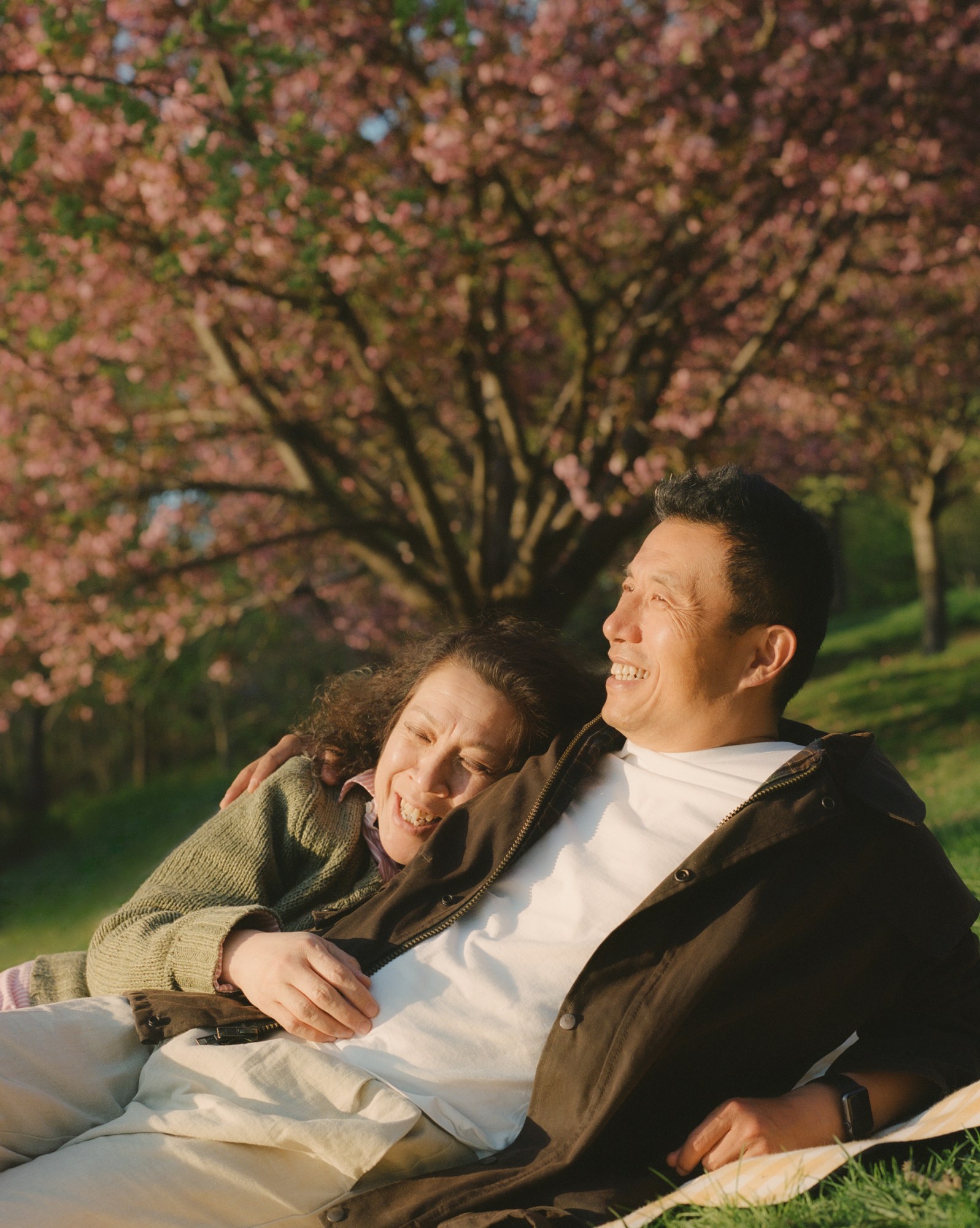 a couple laugh sitting on a picnic blanket by a blossom tree