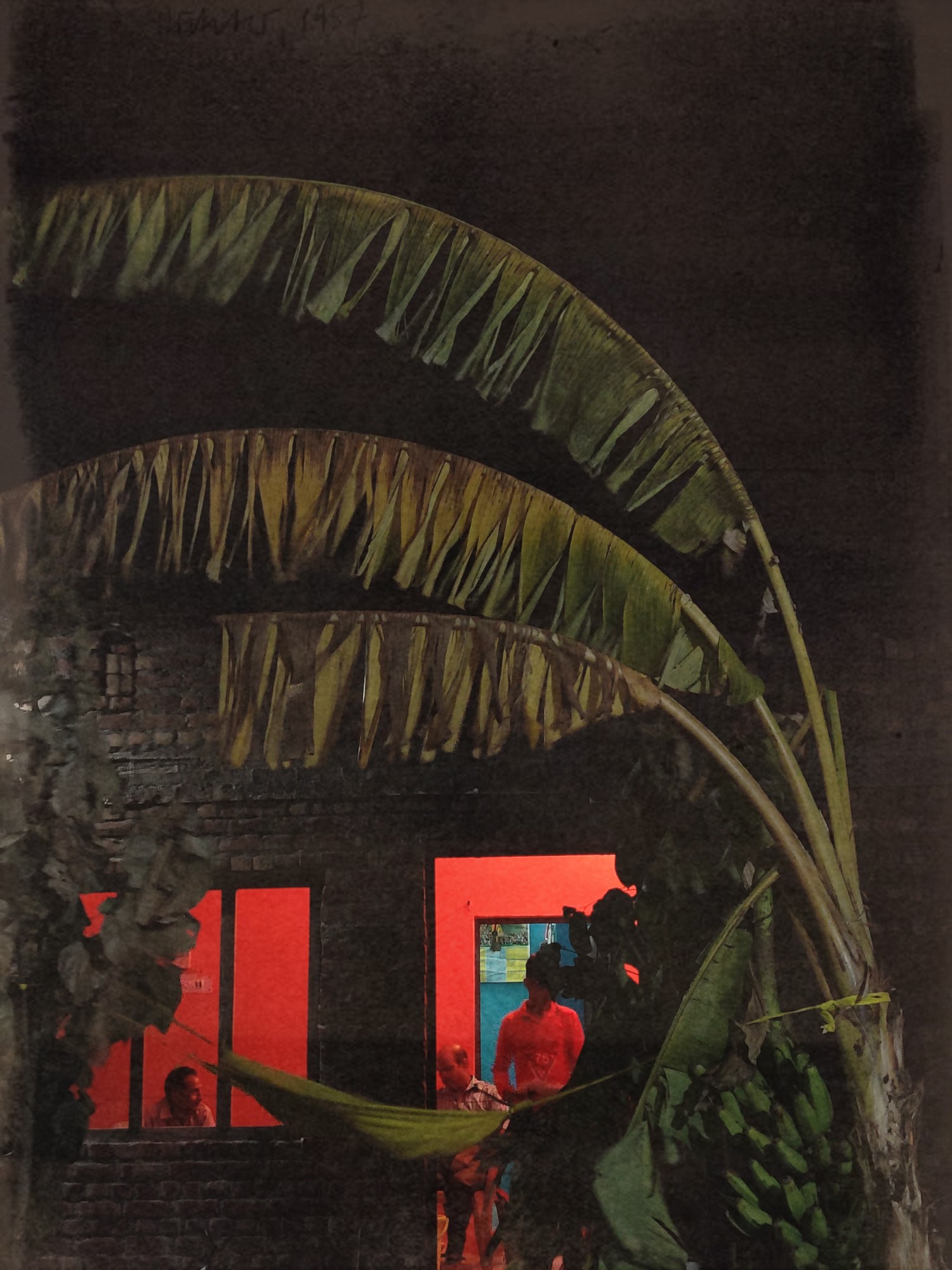 a brick house with red lights inside at night. A banana tree sits in front of the house and three people are inside.