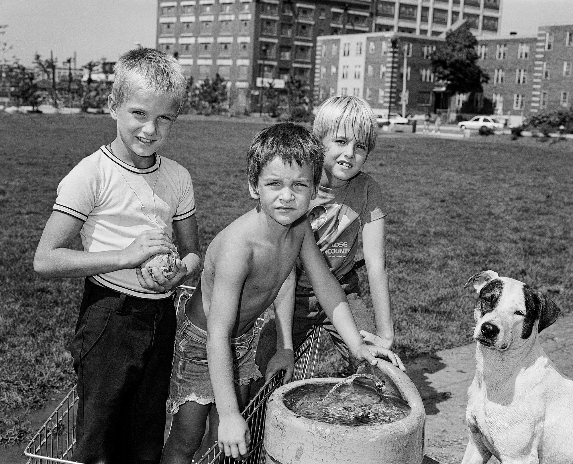 three young boys in a shopping trolley and a dog in a park