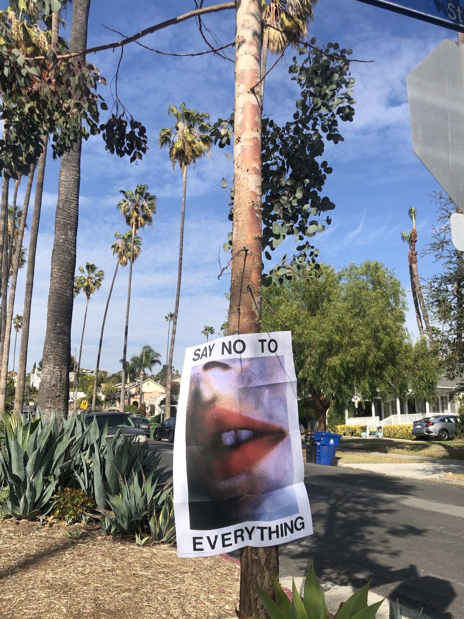 a poster on a tree with the words 'say no to everything' framing a close-up image of red lips