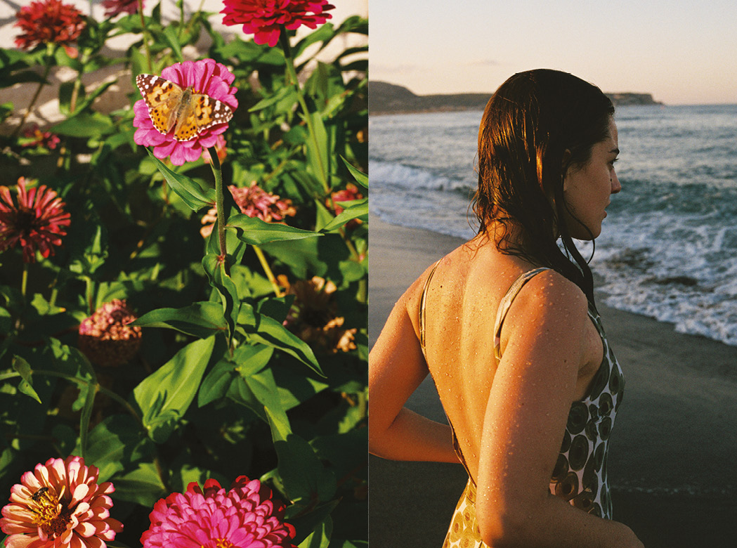 left: a butterfly sits on a pink flower in a field of them; right: a model in a backless swimsuit faces the ocean