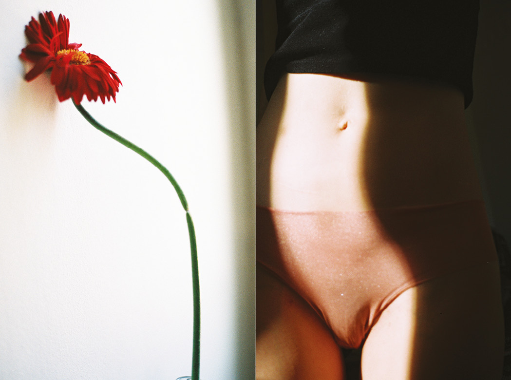 left: a single long-stemmed red daisy; right: a model in salmon pink underwear, her bare stomach and thighs catch the sunlight