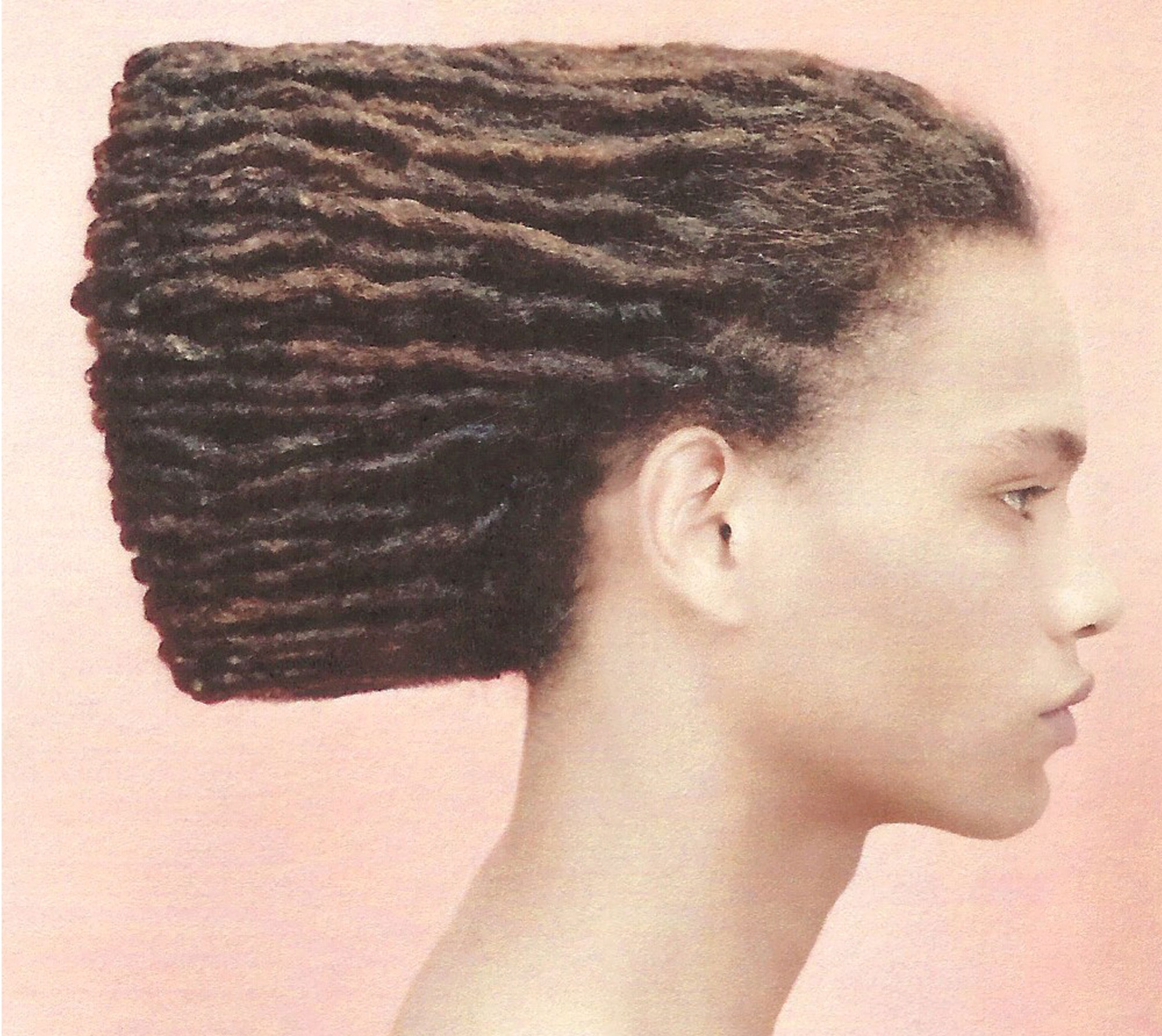 A model with aerodynamically swept-back braids