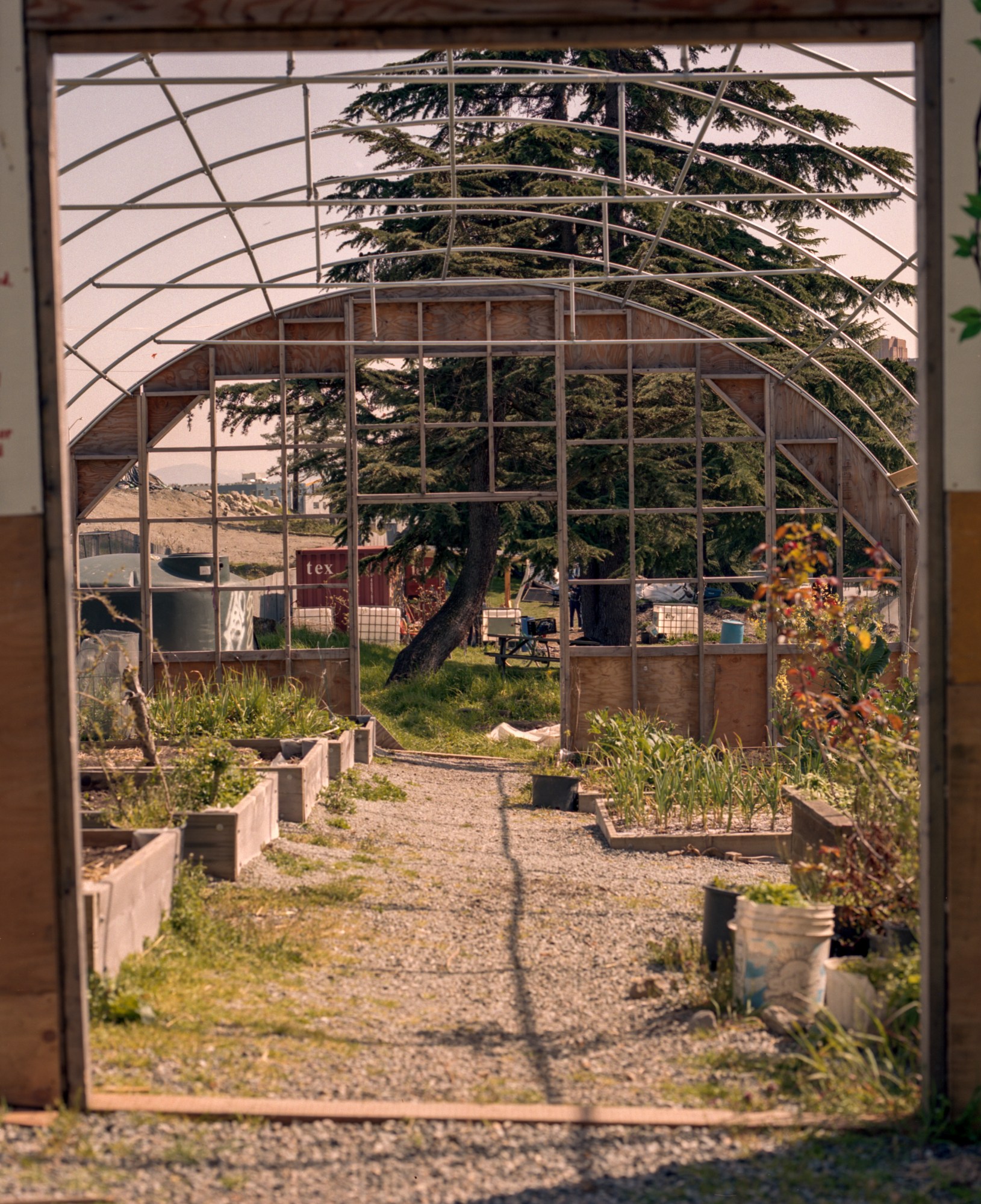 flower beds on a gravel path at a farm