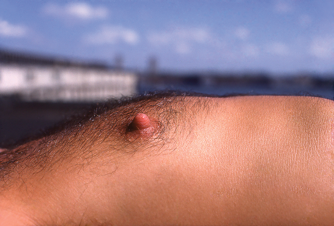 a close up of a man's nipple in front of blue sky by stanley stellar