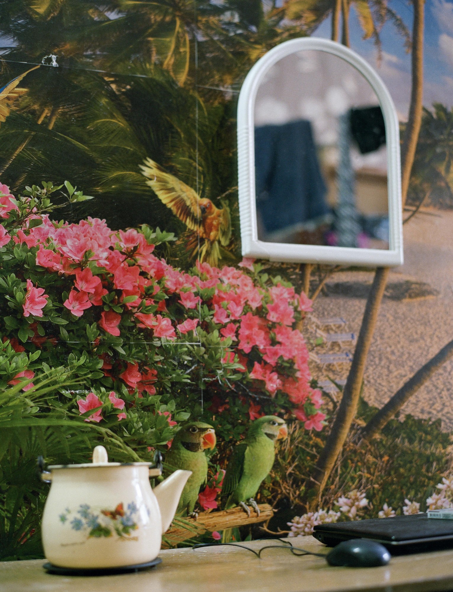 close up of the tropical wallpaper behind someone's laptop desk, a teapot and a small mirror