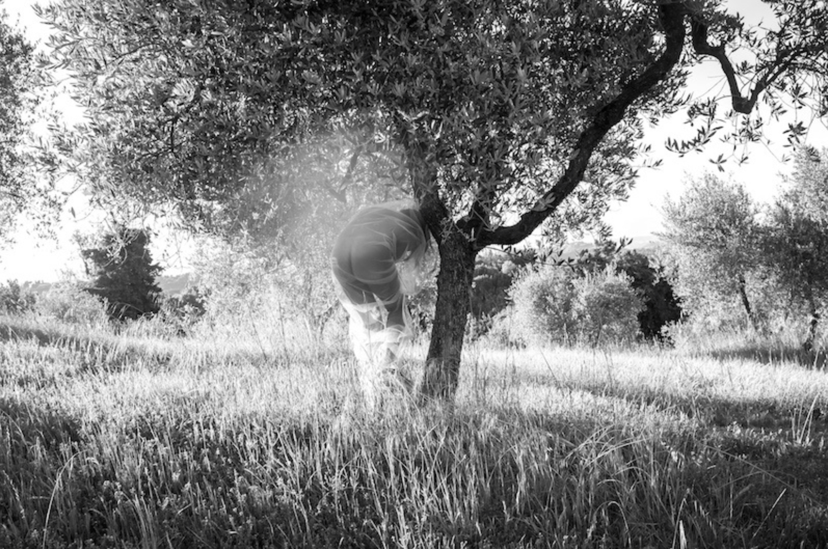 black and white photo of woman in sheer sheet seen from behind in field