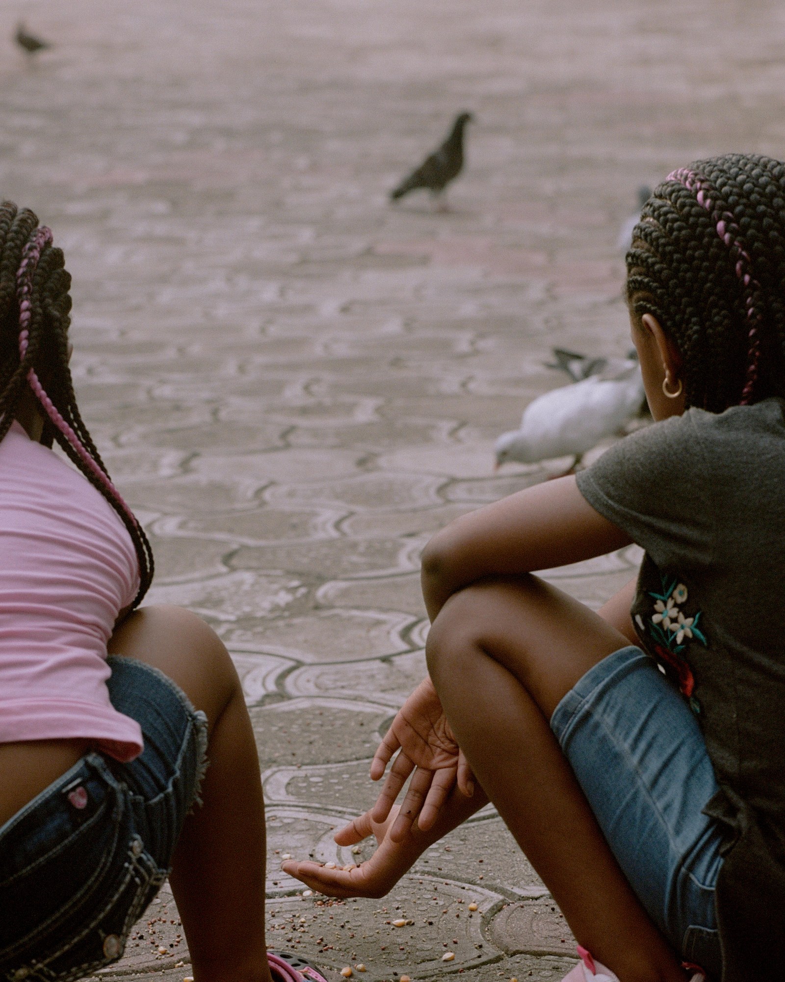 two children wearing t shirts and jean shorts watch pigeons, facing away from the camera