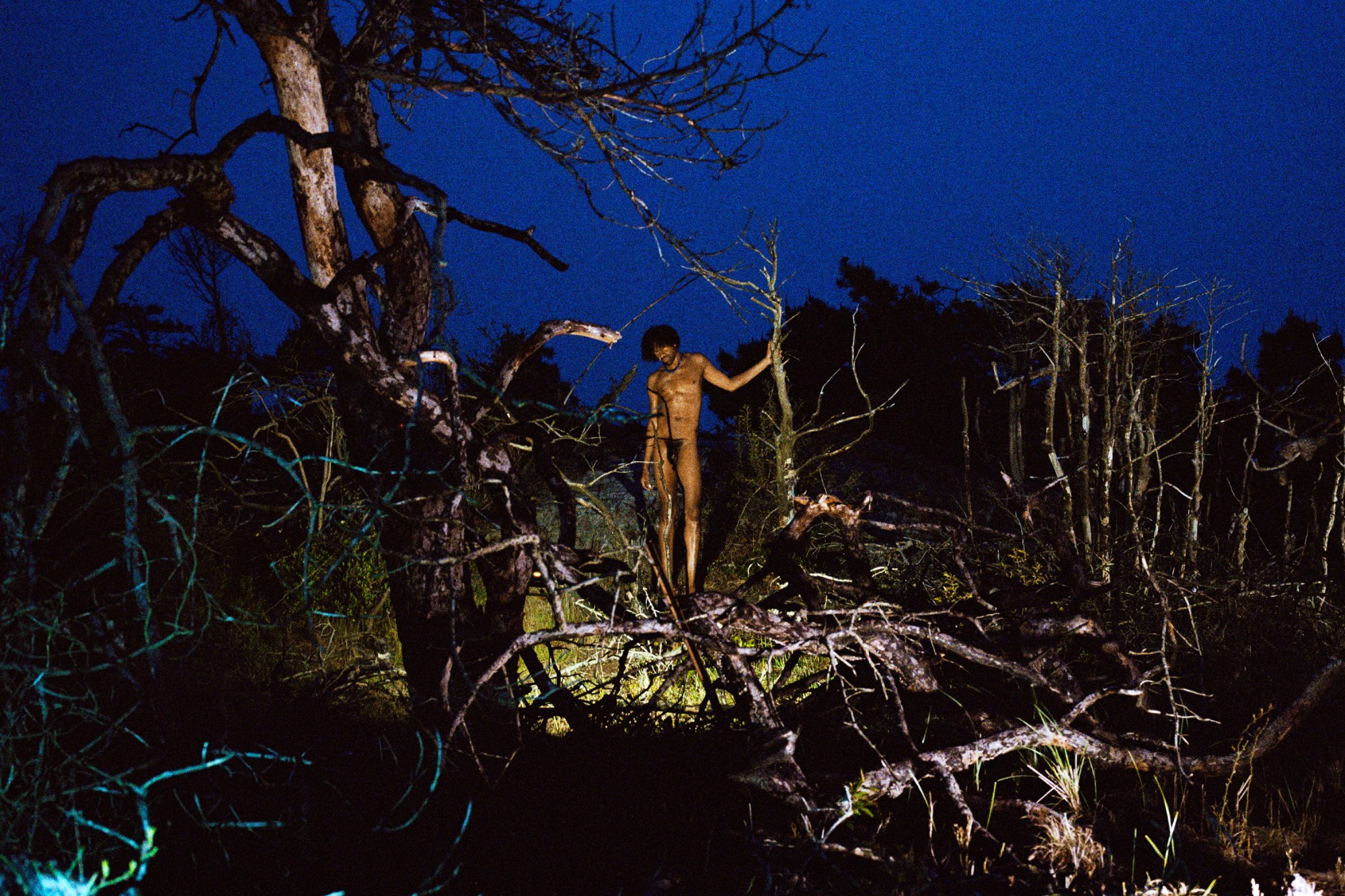 a nude man at night in a forest on fire island