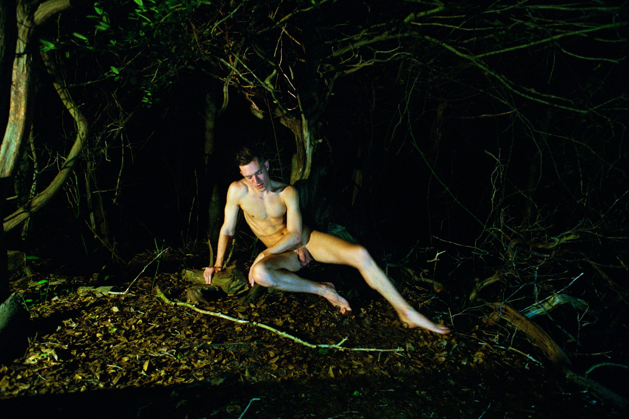 a nude man in a forest on fire island