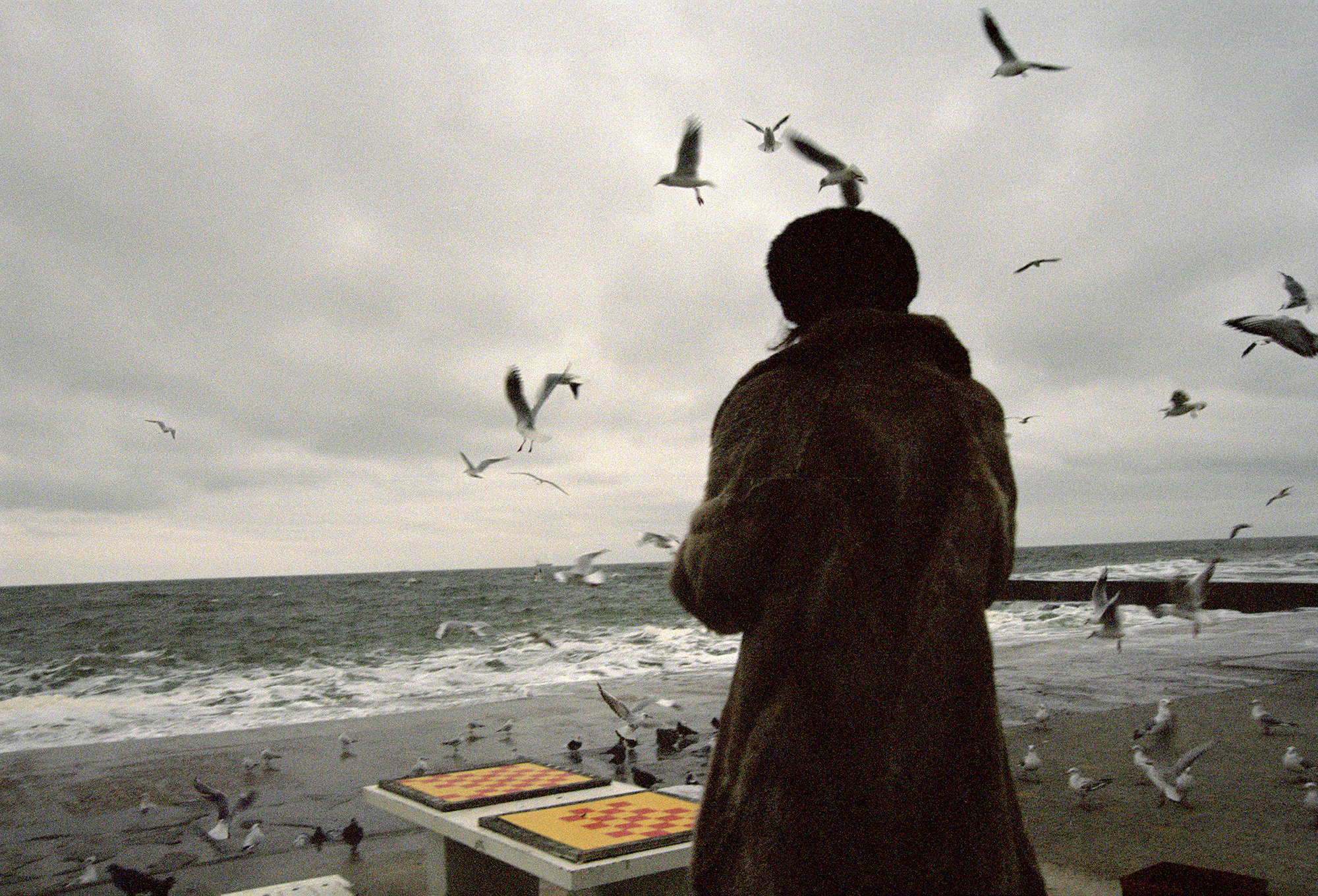 A woman dressed in a fur coat watching seagulls on the beach.