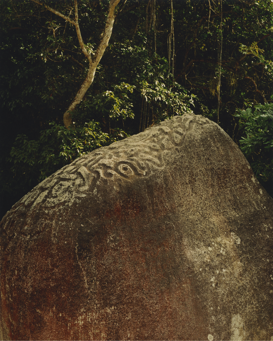 A curved rock in a forest carved with a local indigenous print.