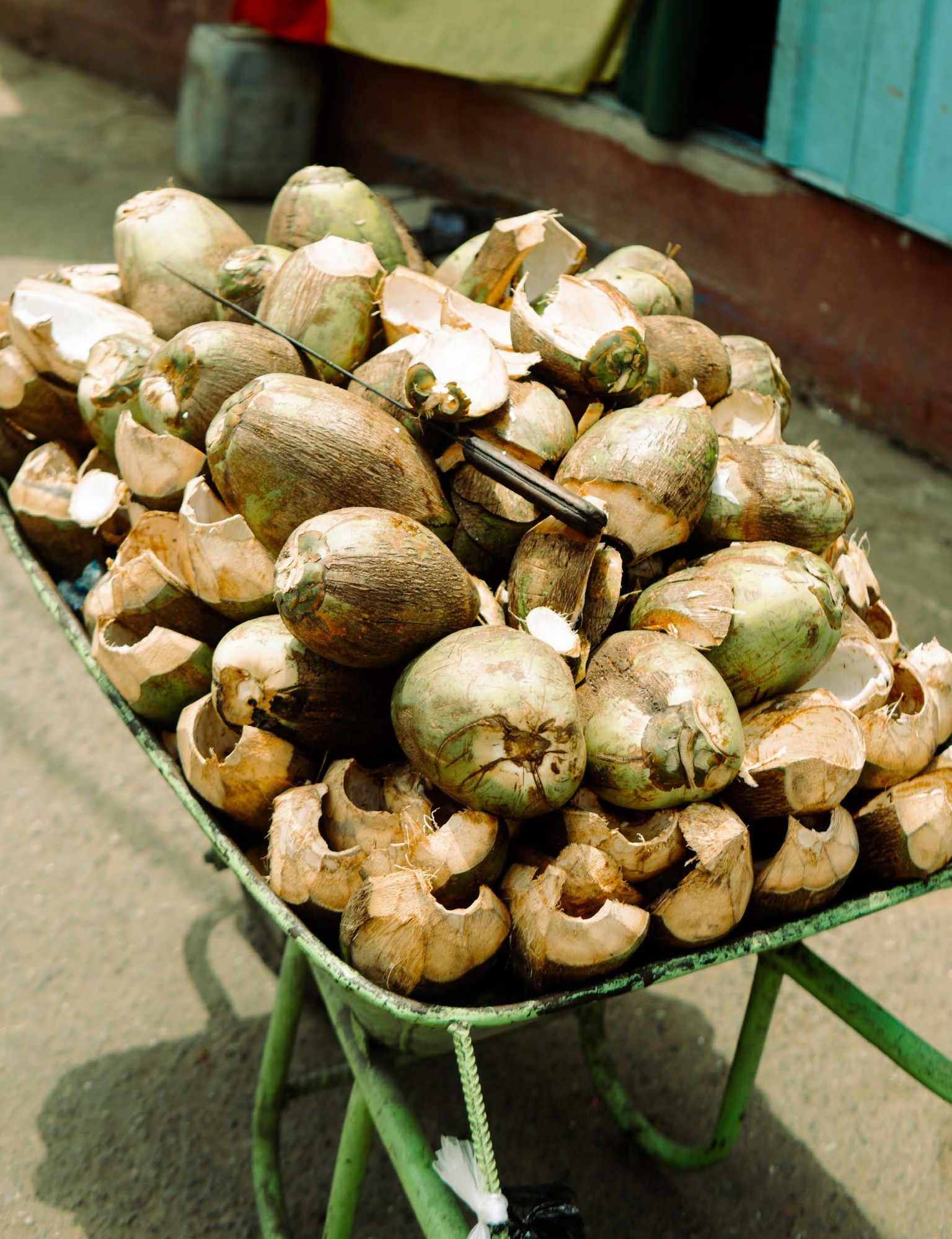 A wheelbarrow filled with coconuts