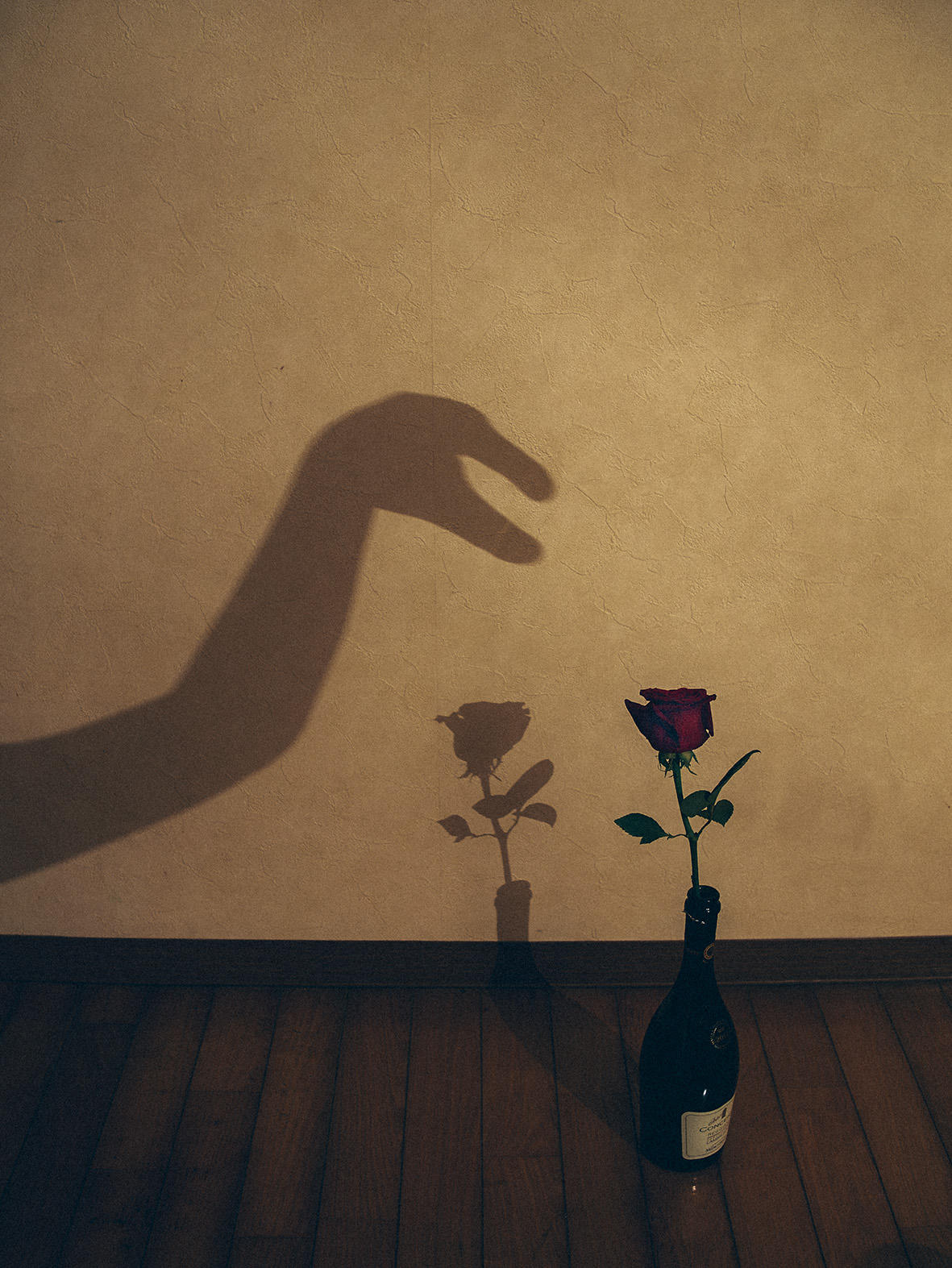 a shadow of the artist's cleft hand on a wall like a shadow puppet