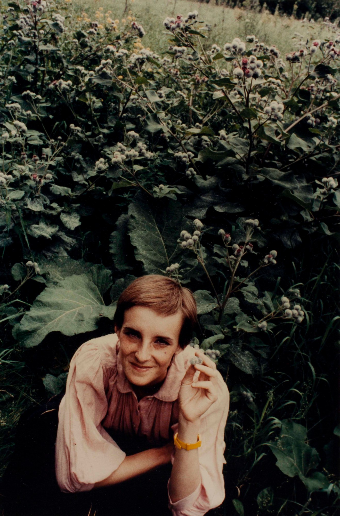 a woman in a pink billowy shirt crouches in a green bush smiling at the camera