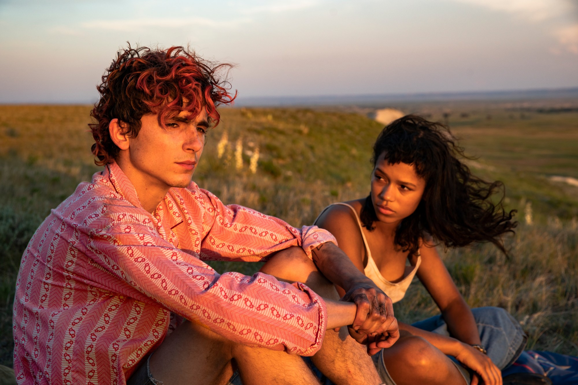 timothee chalamet and taylor russell in a field at sundown in bones & all