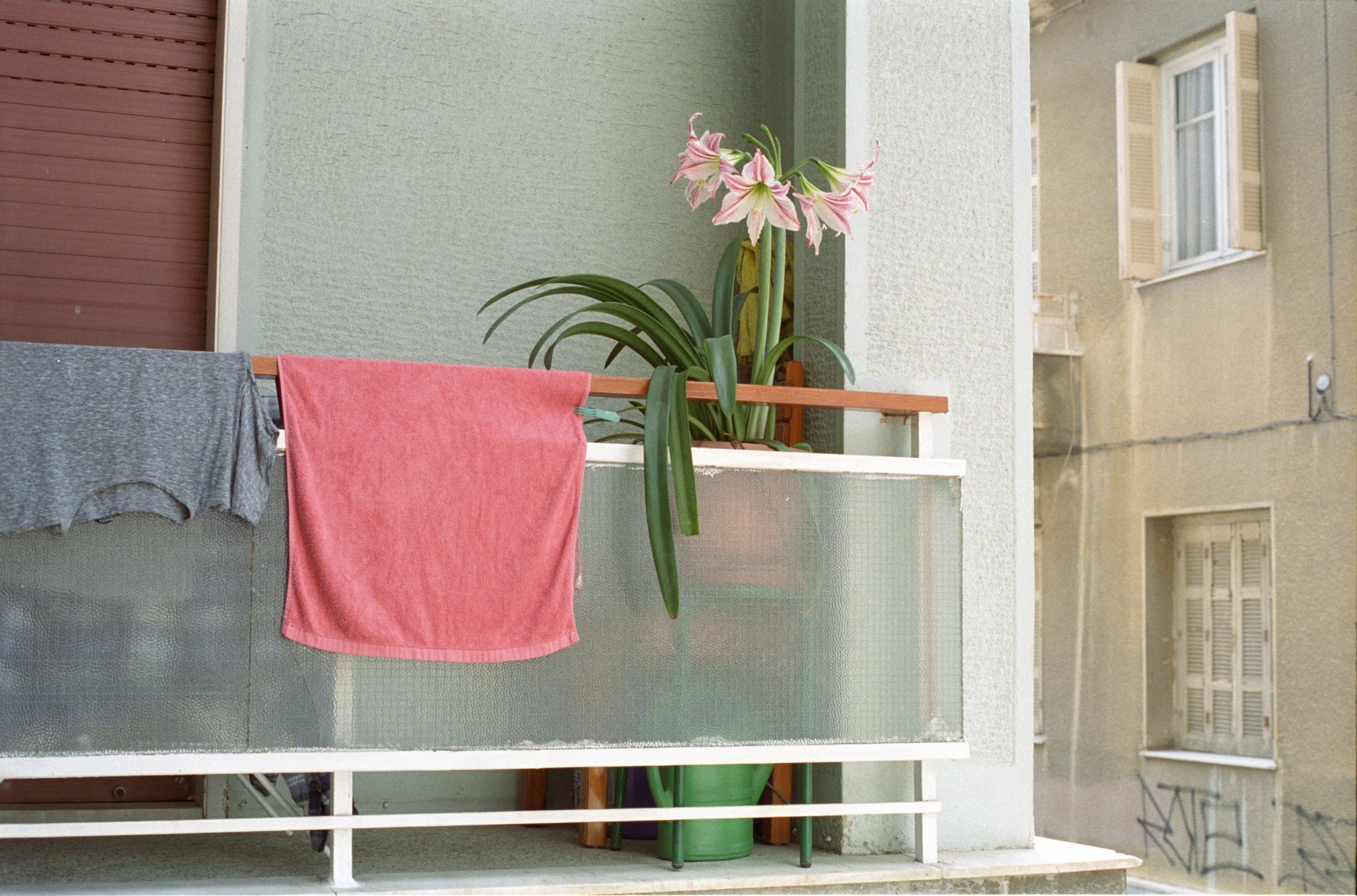 close up of an athens balconywith laundry and plants seen hanging over the side