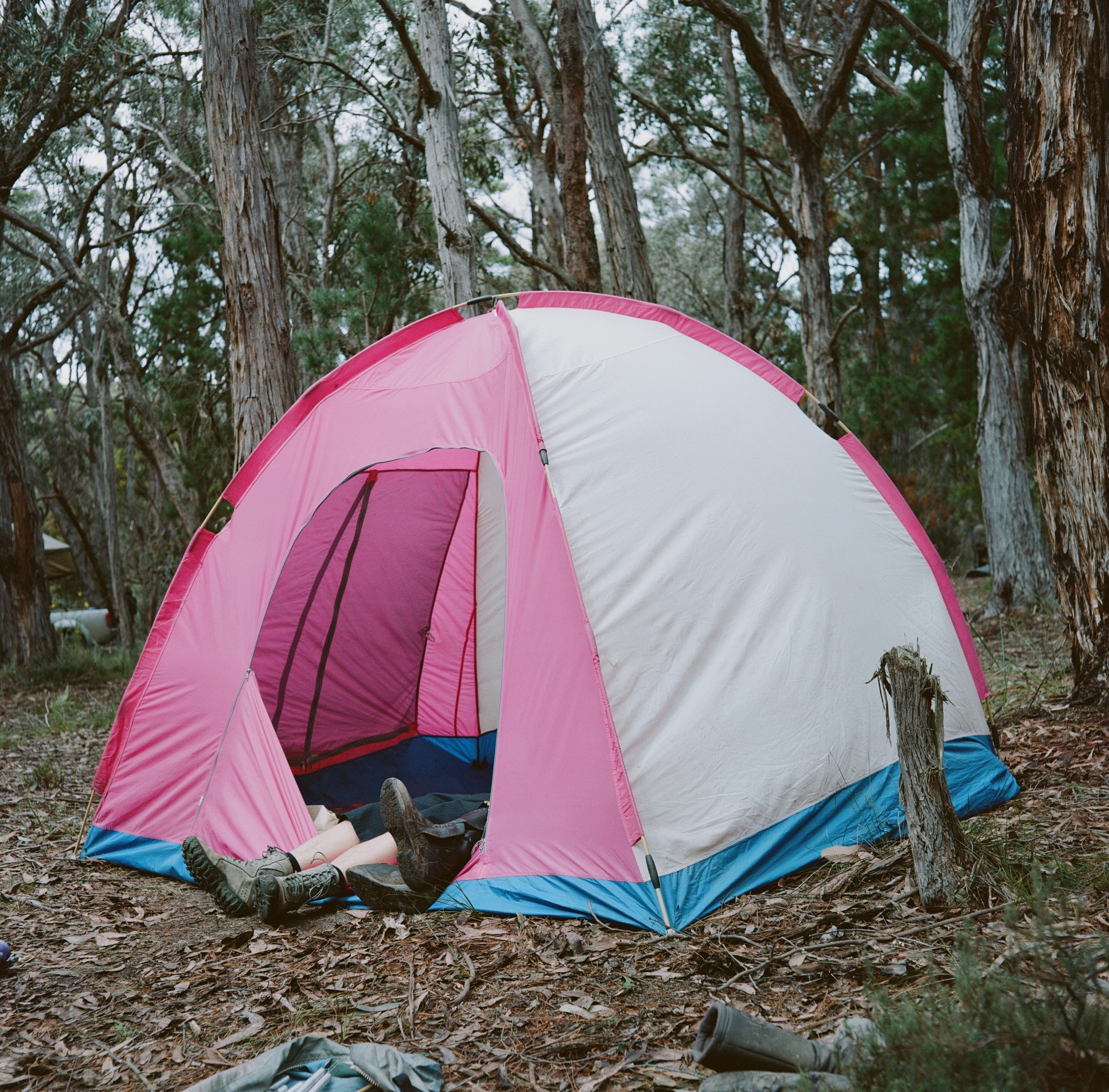 two sets of feet in welly boots extending from a pink-and-white tent in the middle of the woods