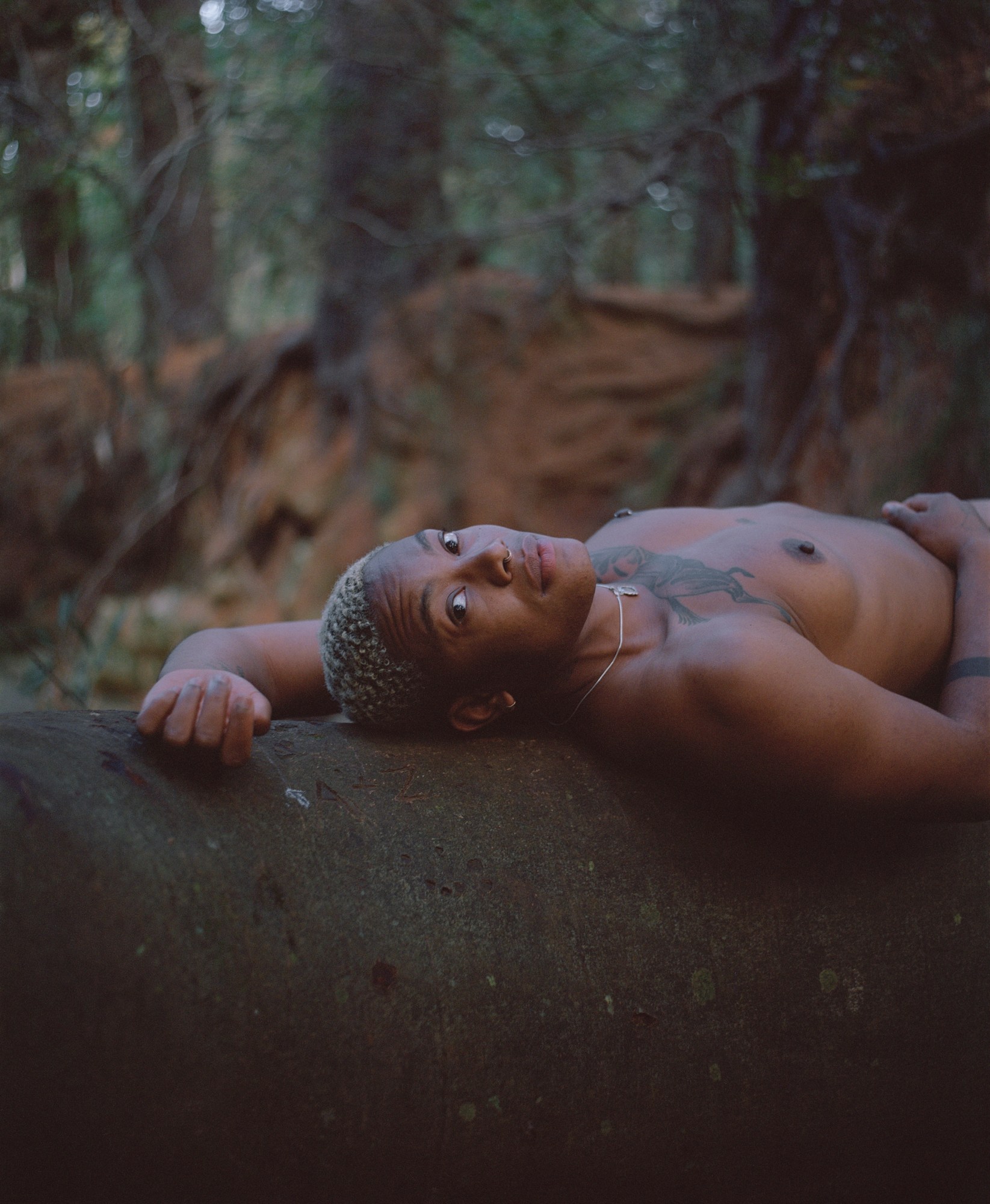 A person lying on a tree trunk in the forest