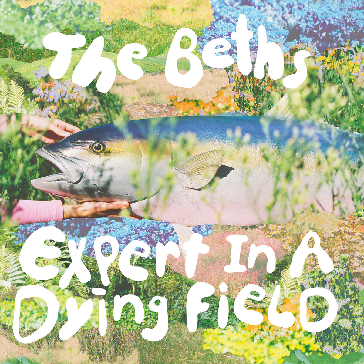 the beths expert in a dying field album cover