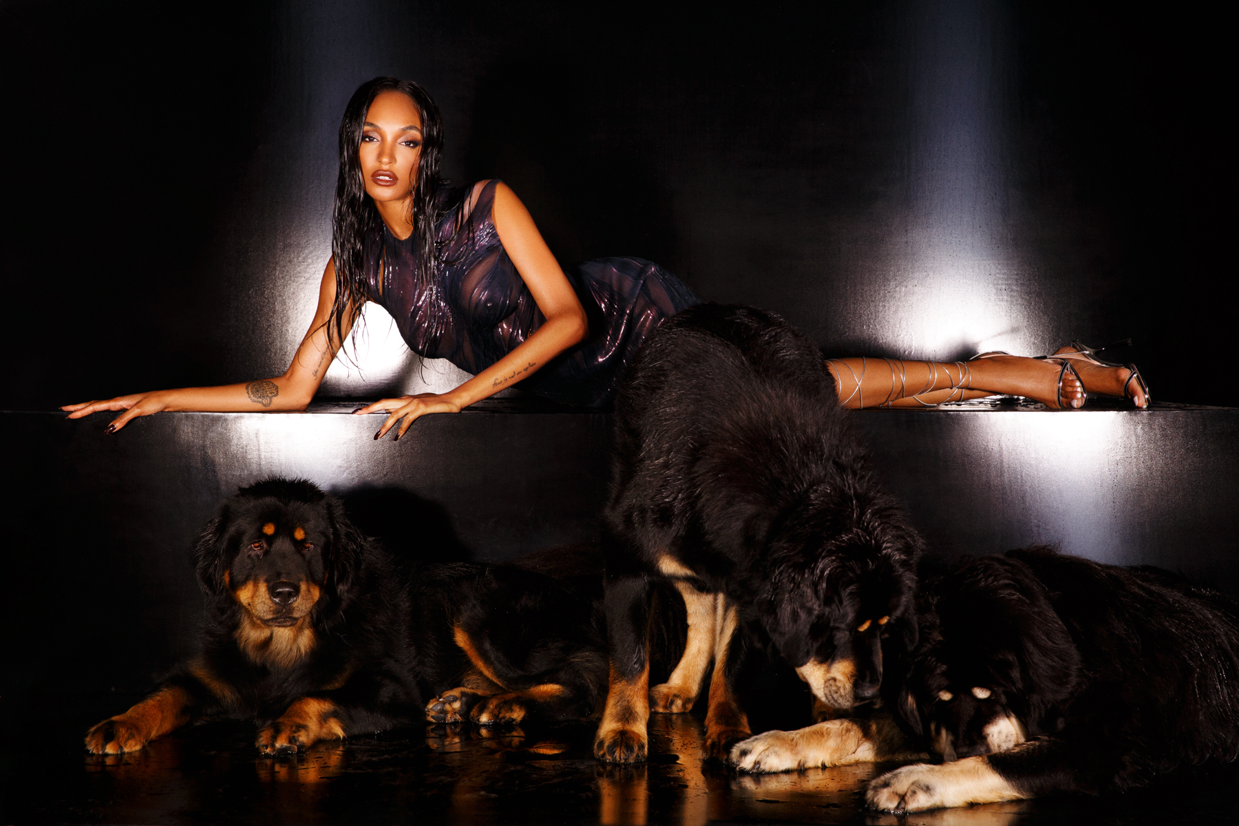 supermodel jourdan dunn with 3 tibetan mastiffs