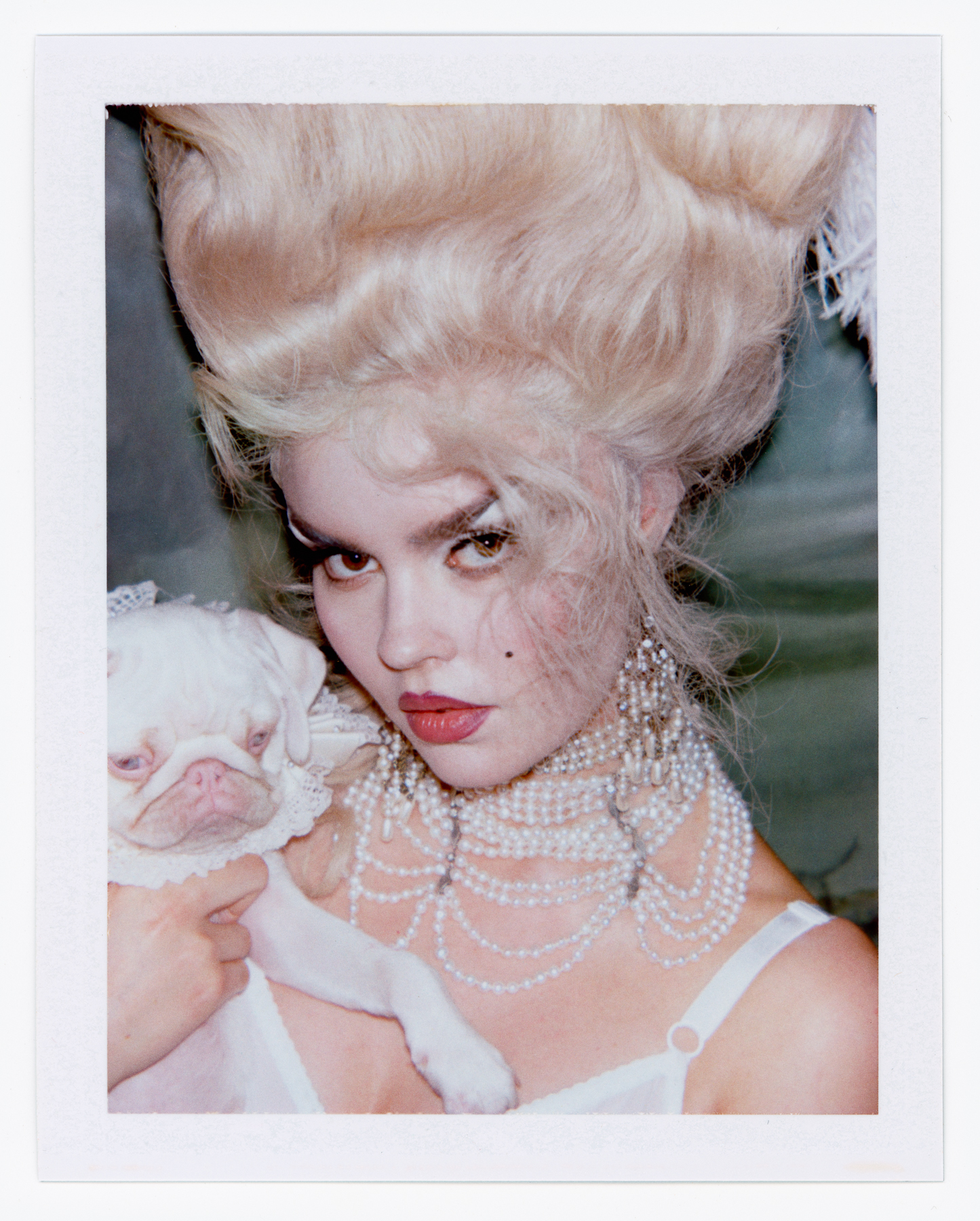 dressed as marie antoinette, beauty spock poses with a white pug puppy