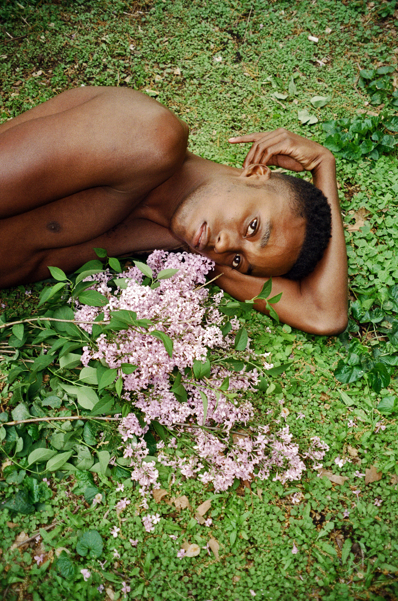 nile lying in the grass with lilacs