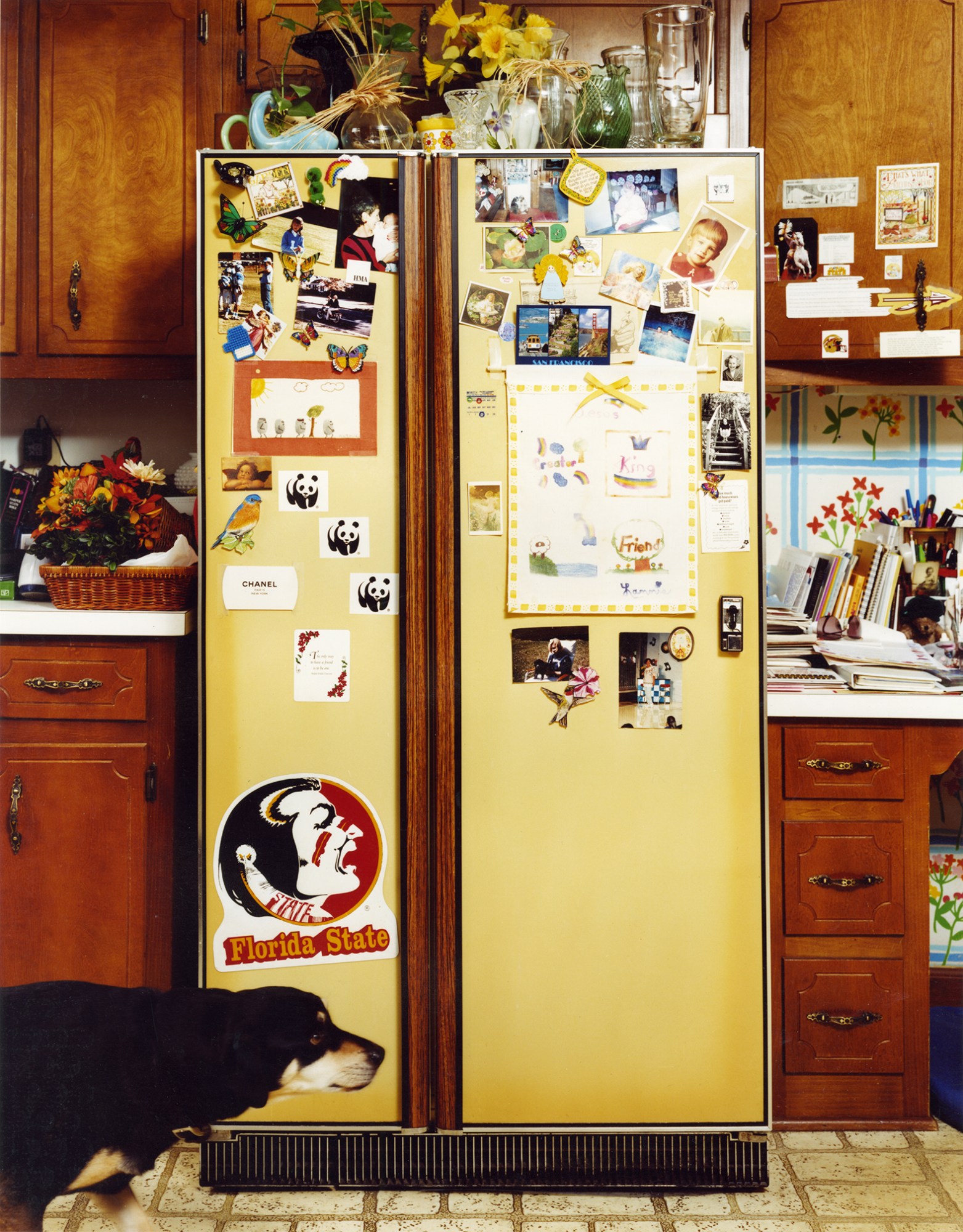 Photograph by Roe Ethridge of a yellow fridge in a kitchen decorated with stickers and with a dog in front of it, featured in the book American Polychronic