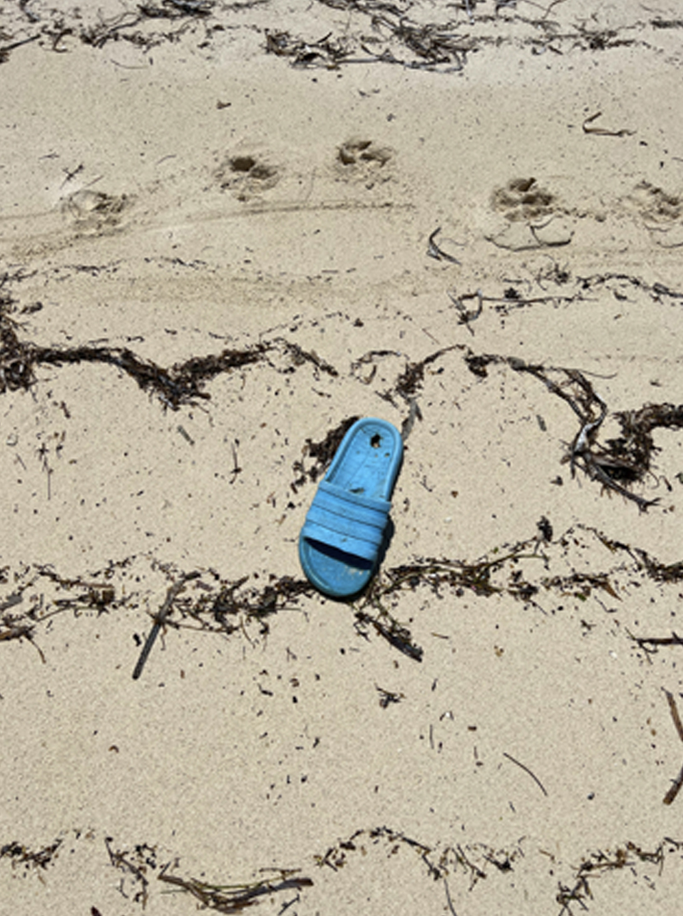 Photography by Kelsey Lu of a blue flip flop sandal on a sandy beach for i-D’s The Royalty Issue, no. 370, Winter 2022