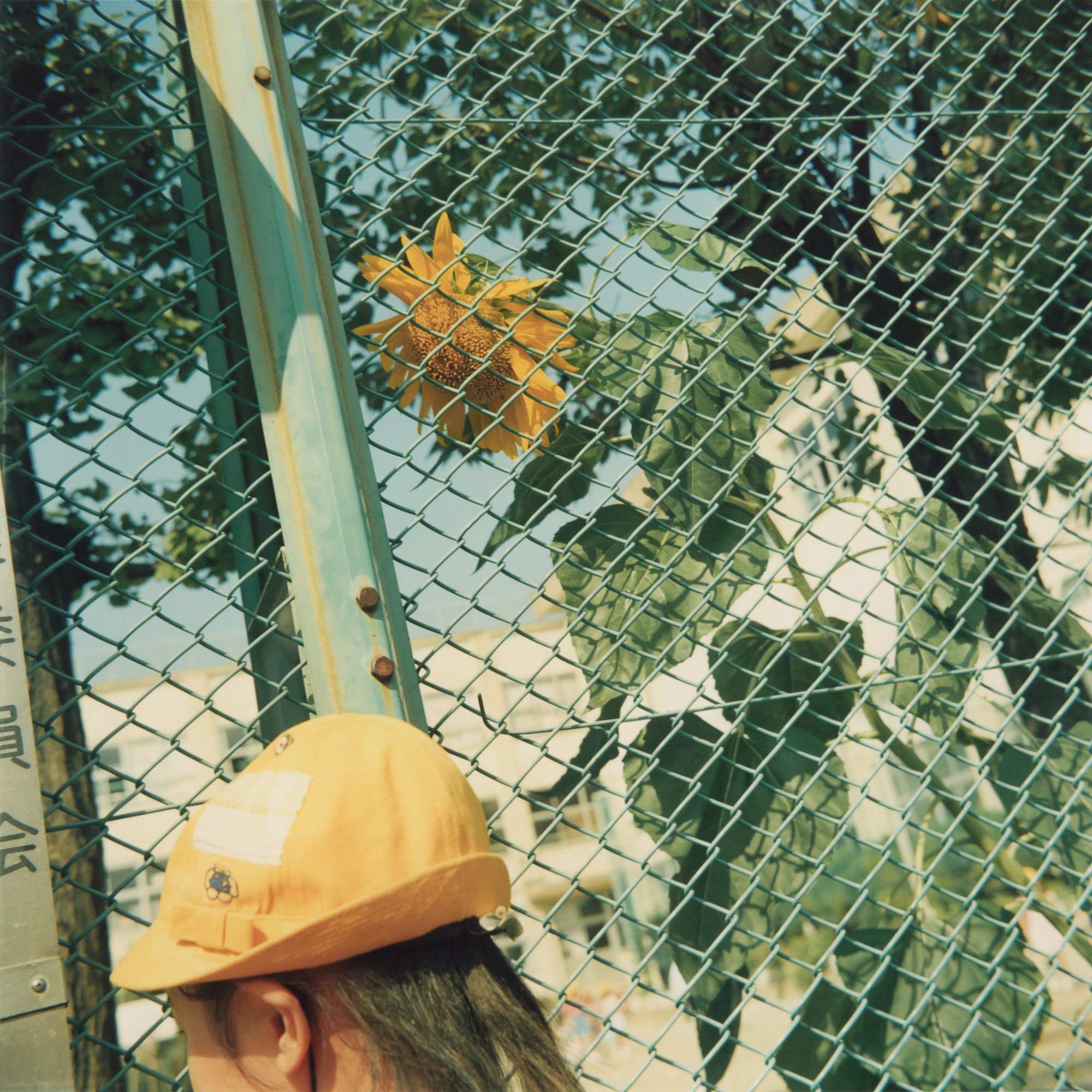 A person in a yellow beneath a sunflower