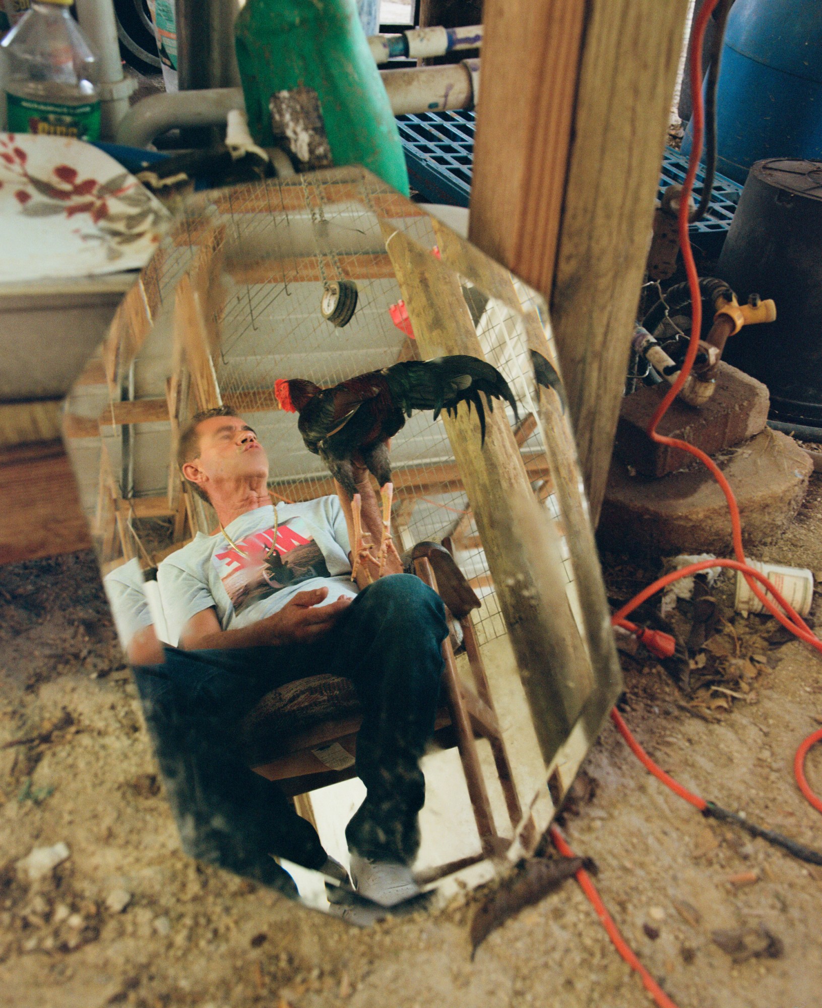 a picture of a mirror reflecting a man holding a rooster in his hand